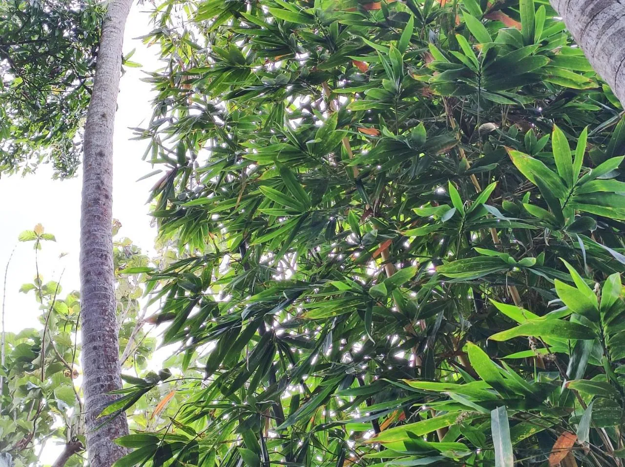 Natural landscape in Schatzi's Hideaway