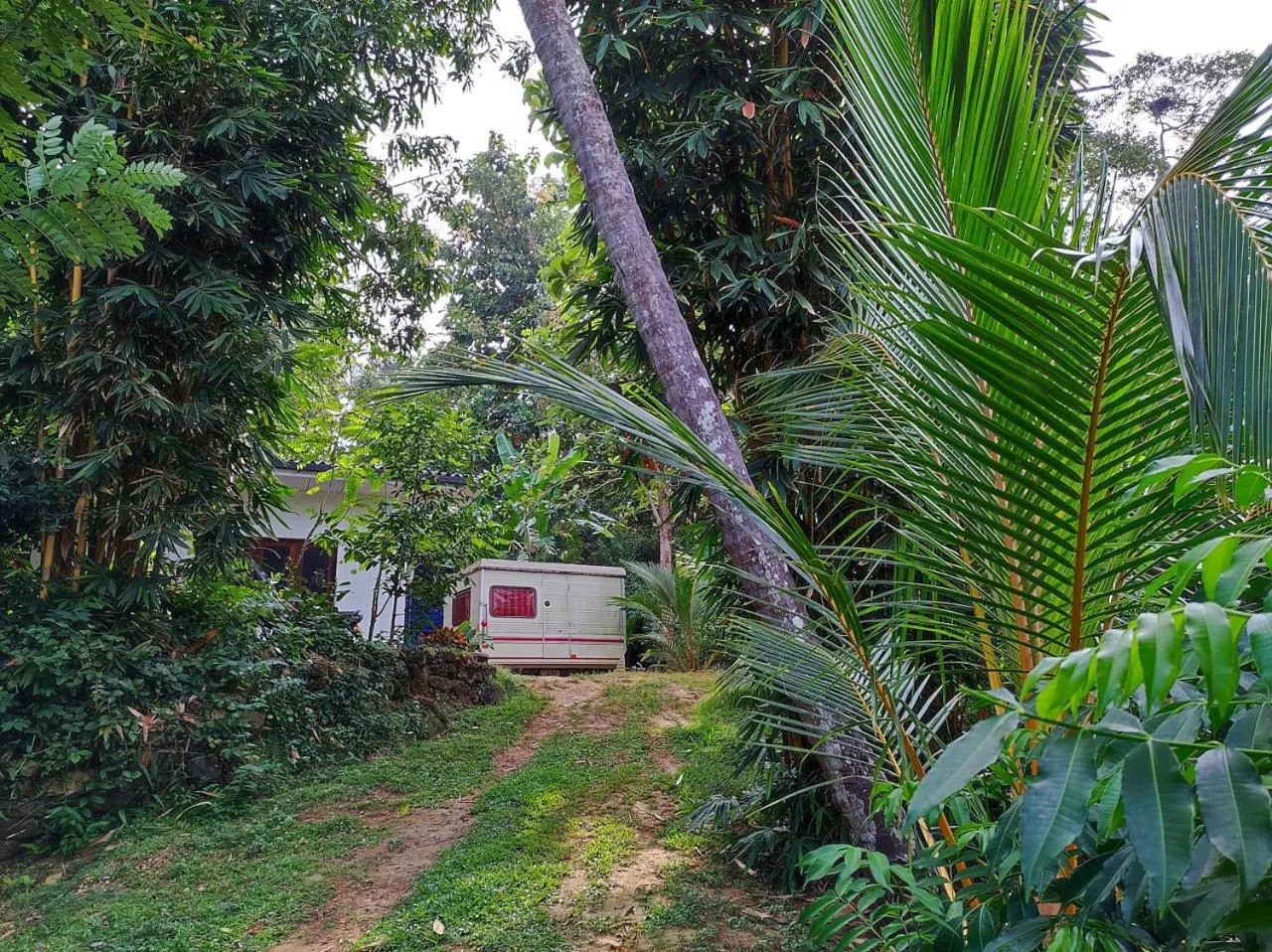 Garden in Schatzi's Hideaway