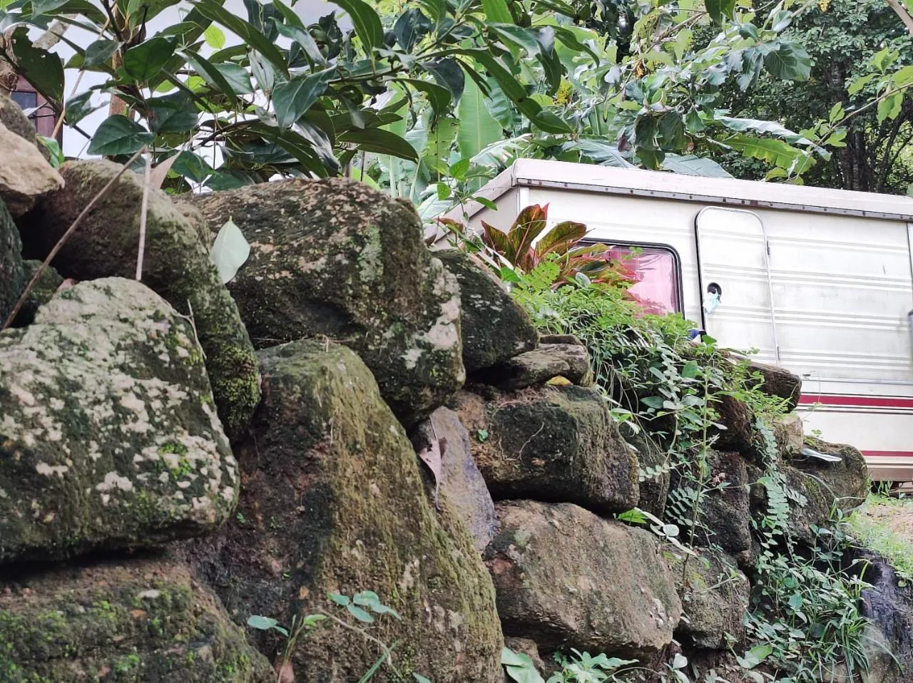 Natural landscape in Schatzi's Hideaway