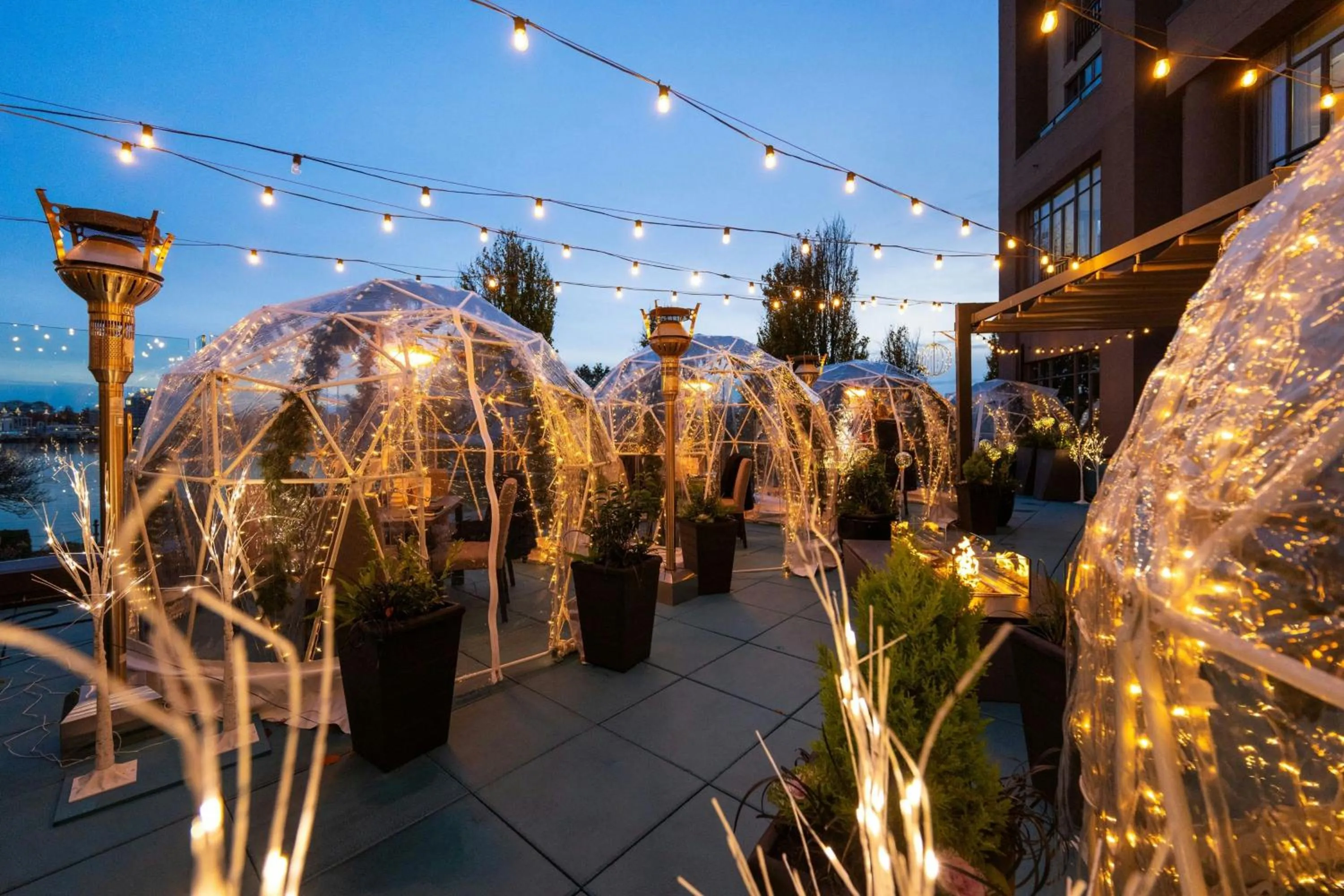 Lounge or bar in Delta Hotels by Marriott Victoria Ocean Pointe Resort