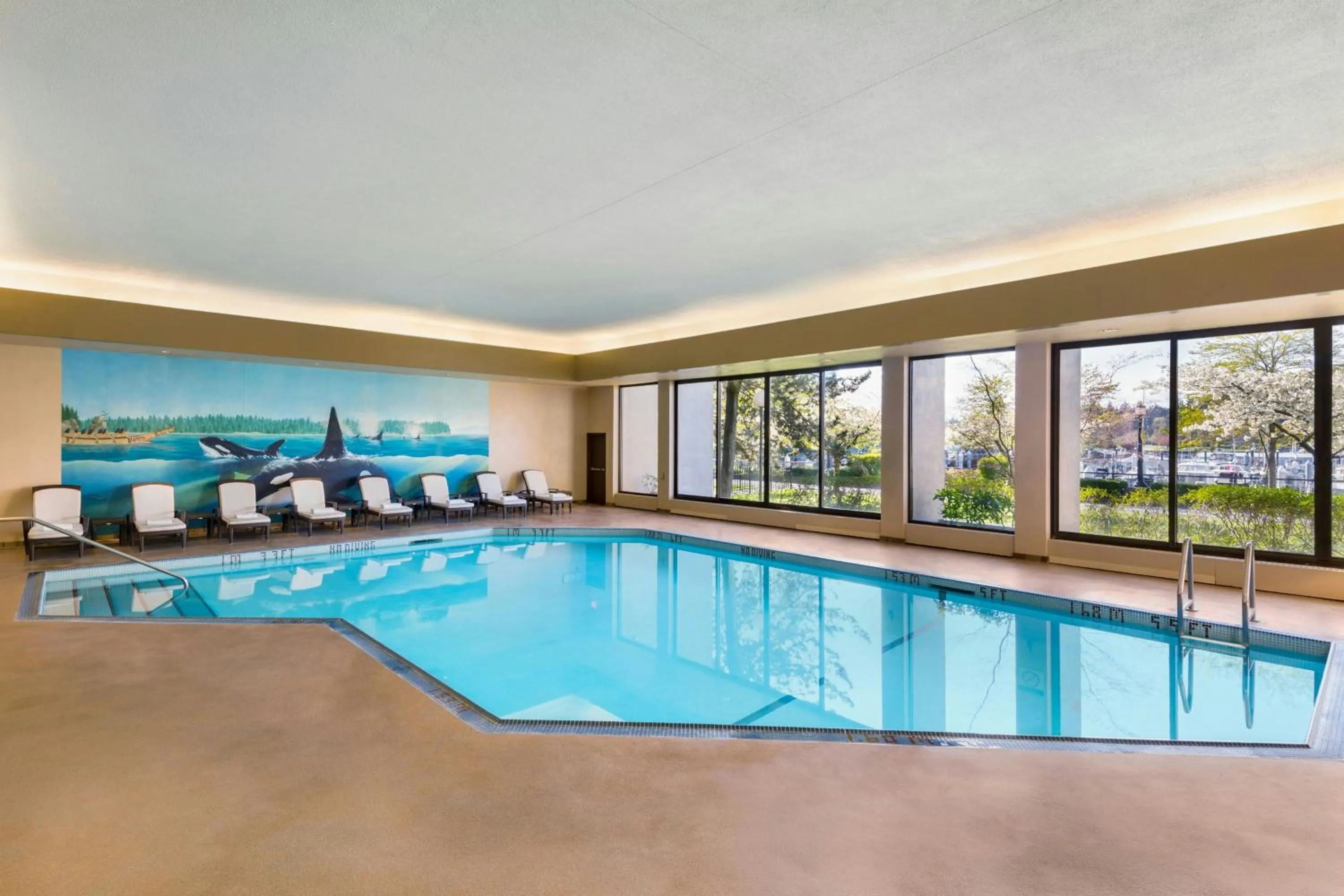 Swimming pool in The Westin Bayshore, Vancouver