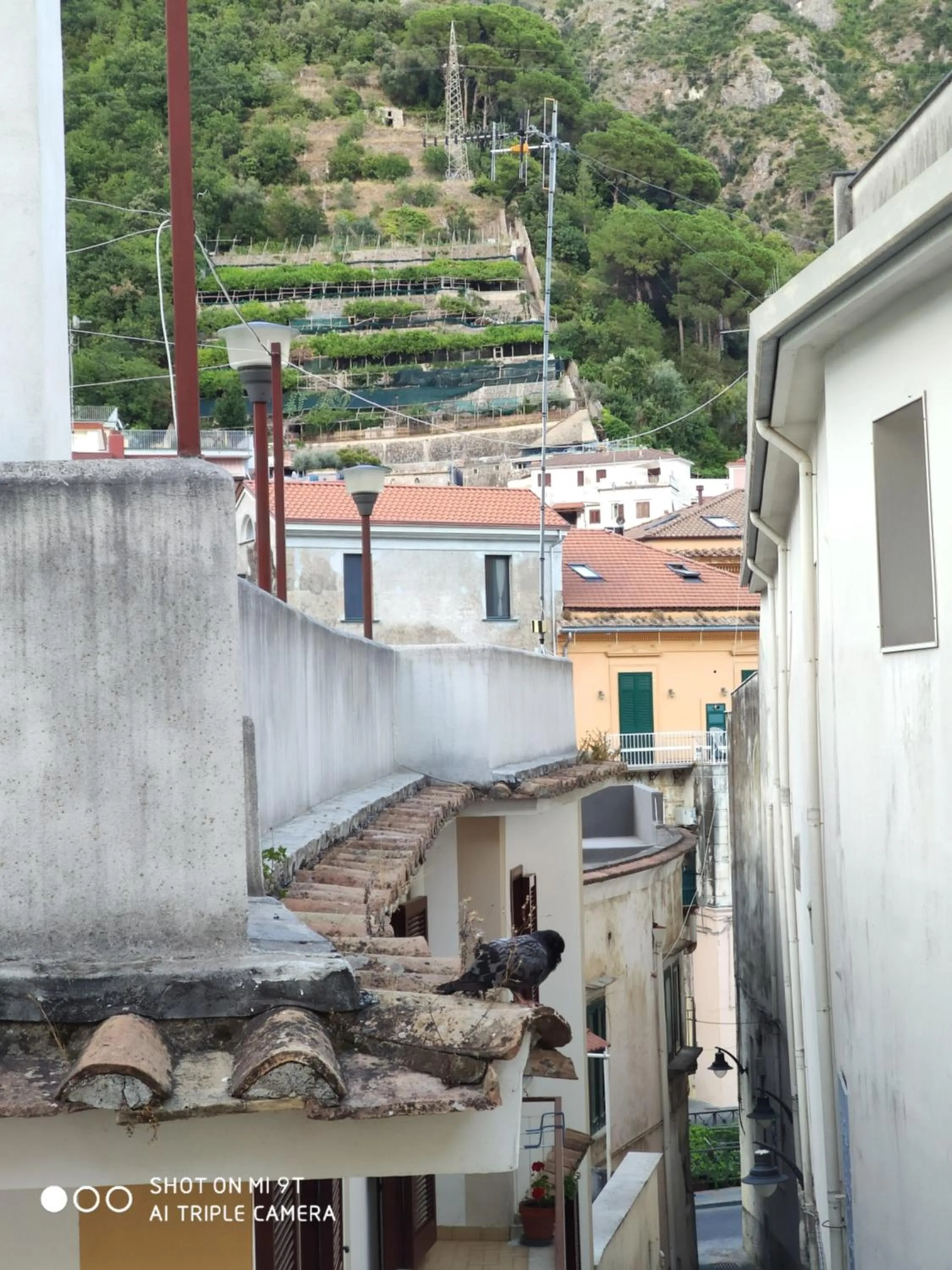Neighbourhood in Celeste Costiera