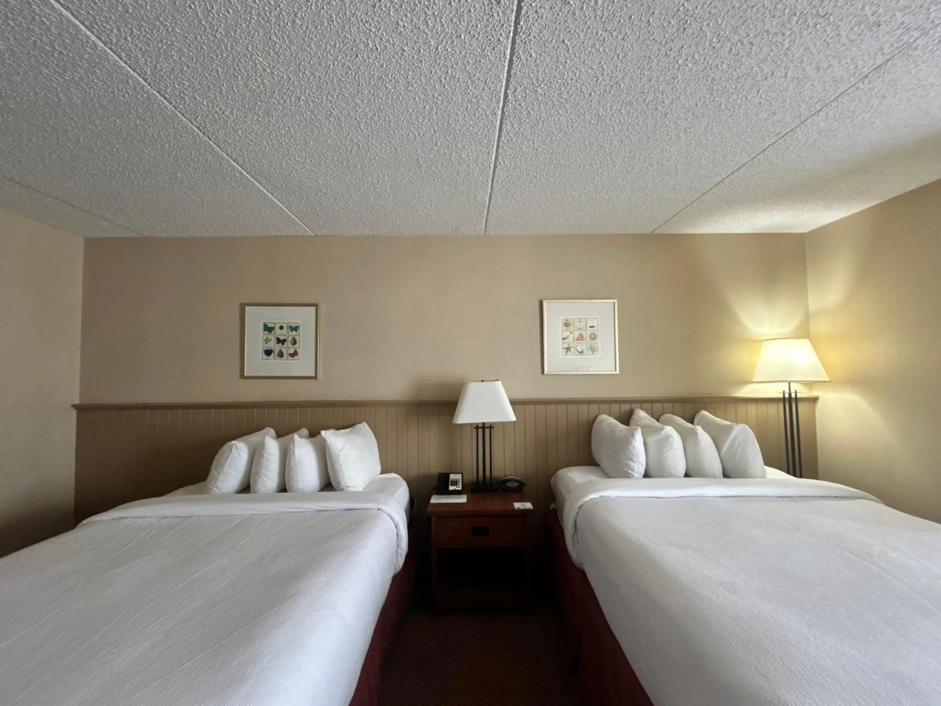 Bed in Charlottetown Inn & Conference Centre