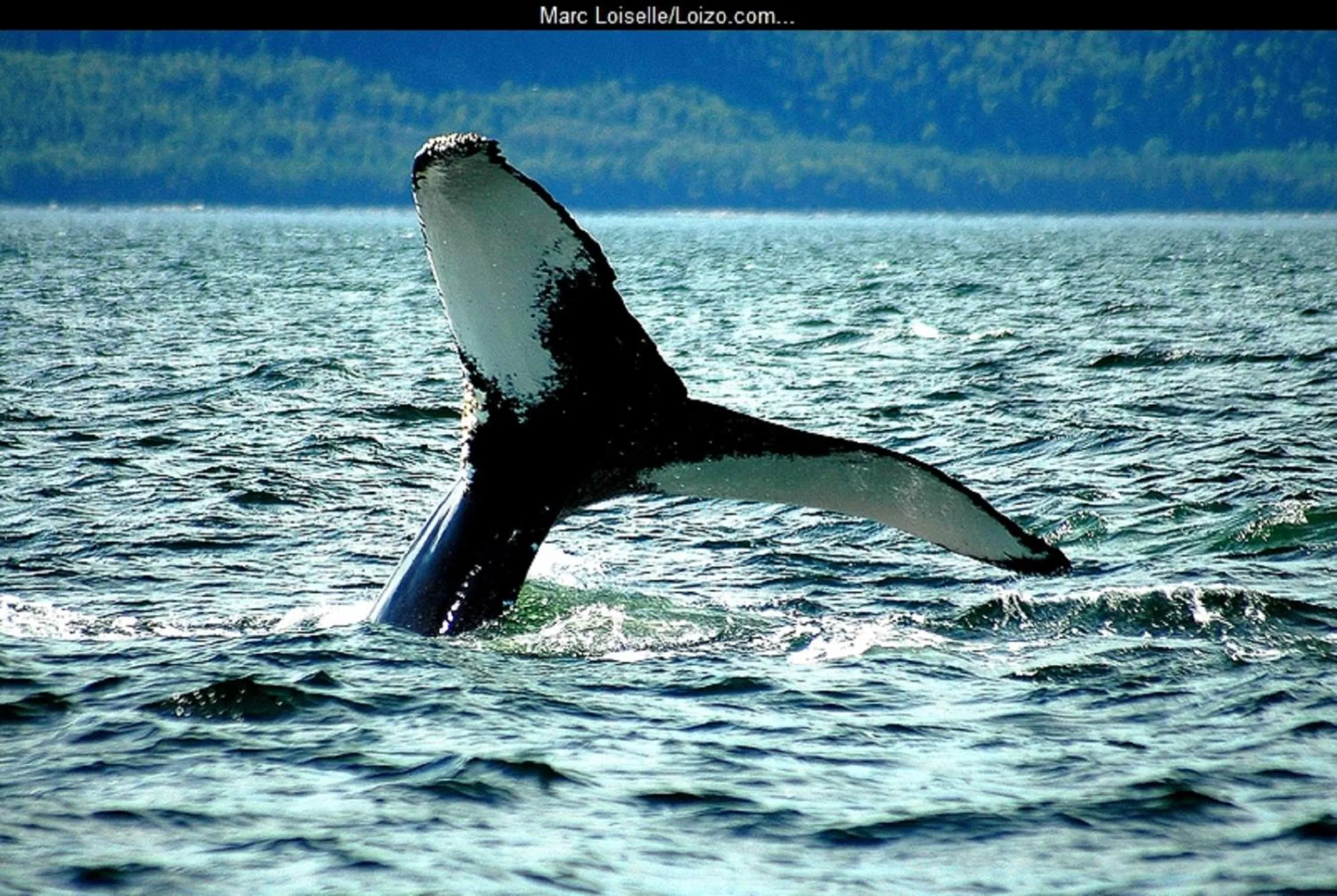 Area and facilities in Hotel Tadoussac