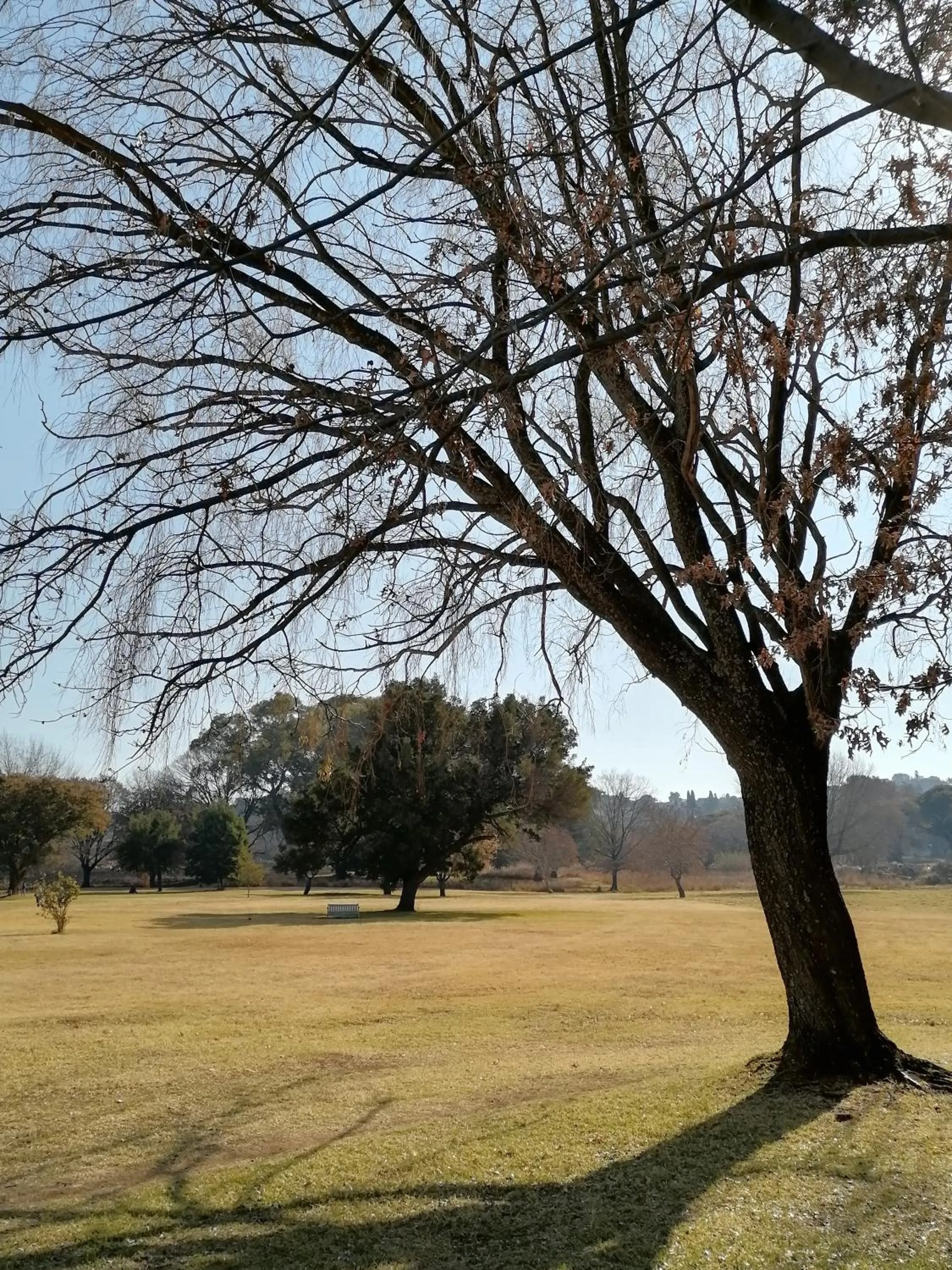 Nearby landmark in CityView, a stunning modern apartment