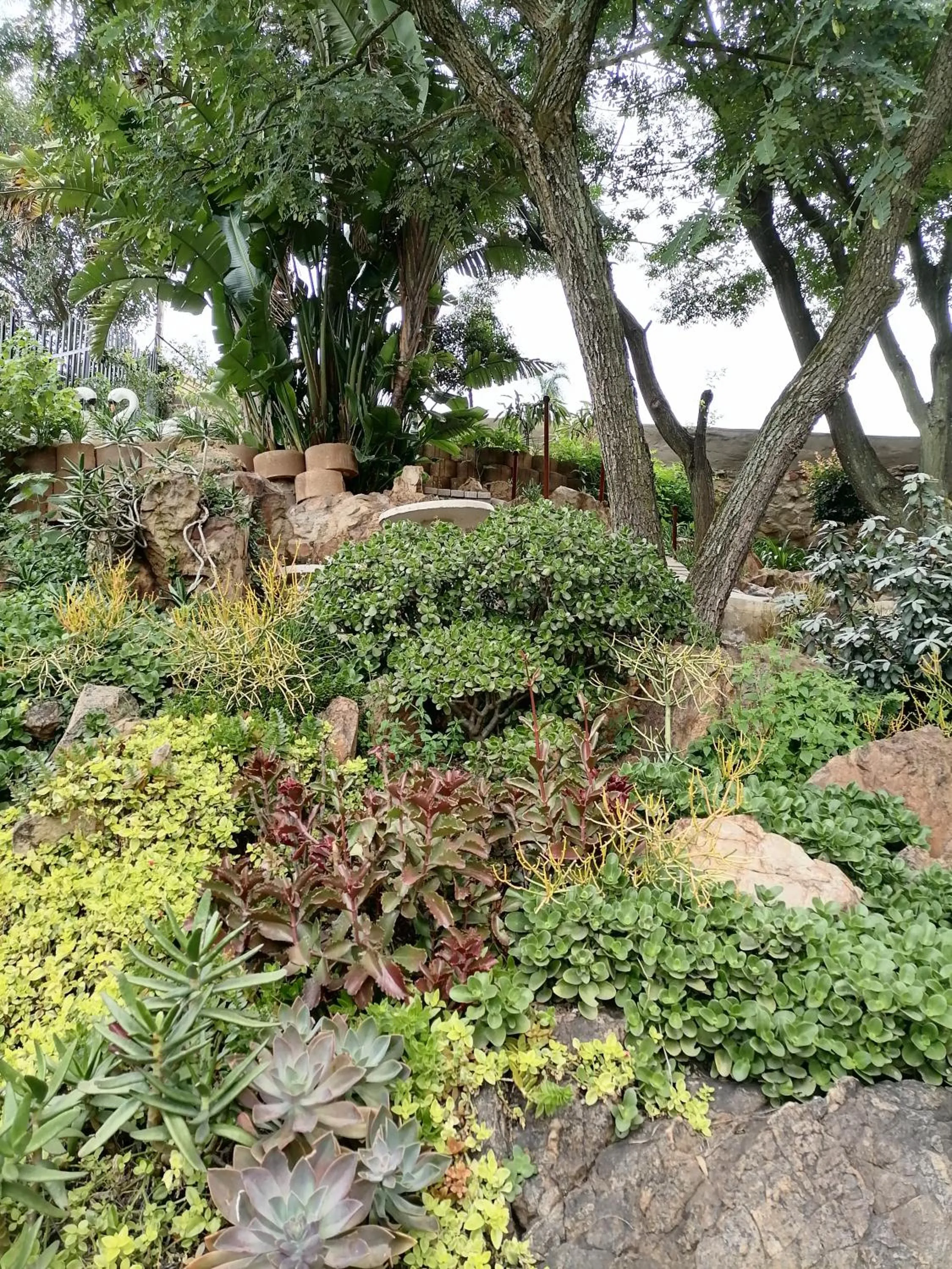 Garden in CityView, a stunning modern apartment