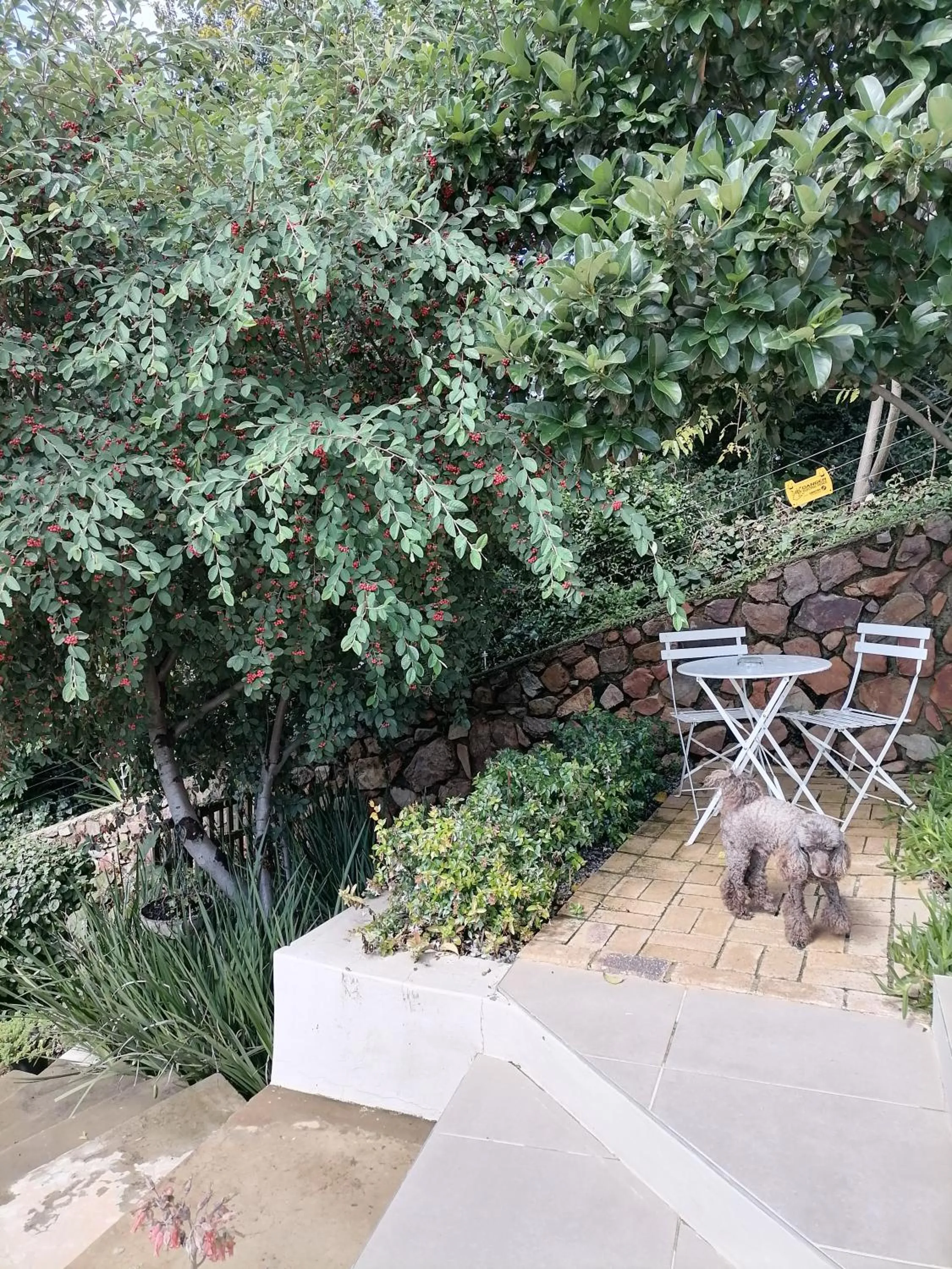 Garden in CityView, a stunning modern apartment