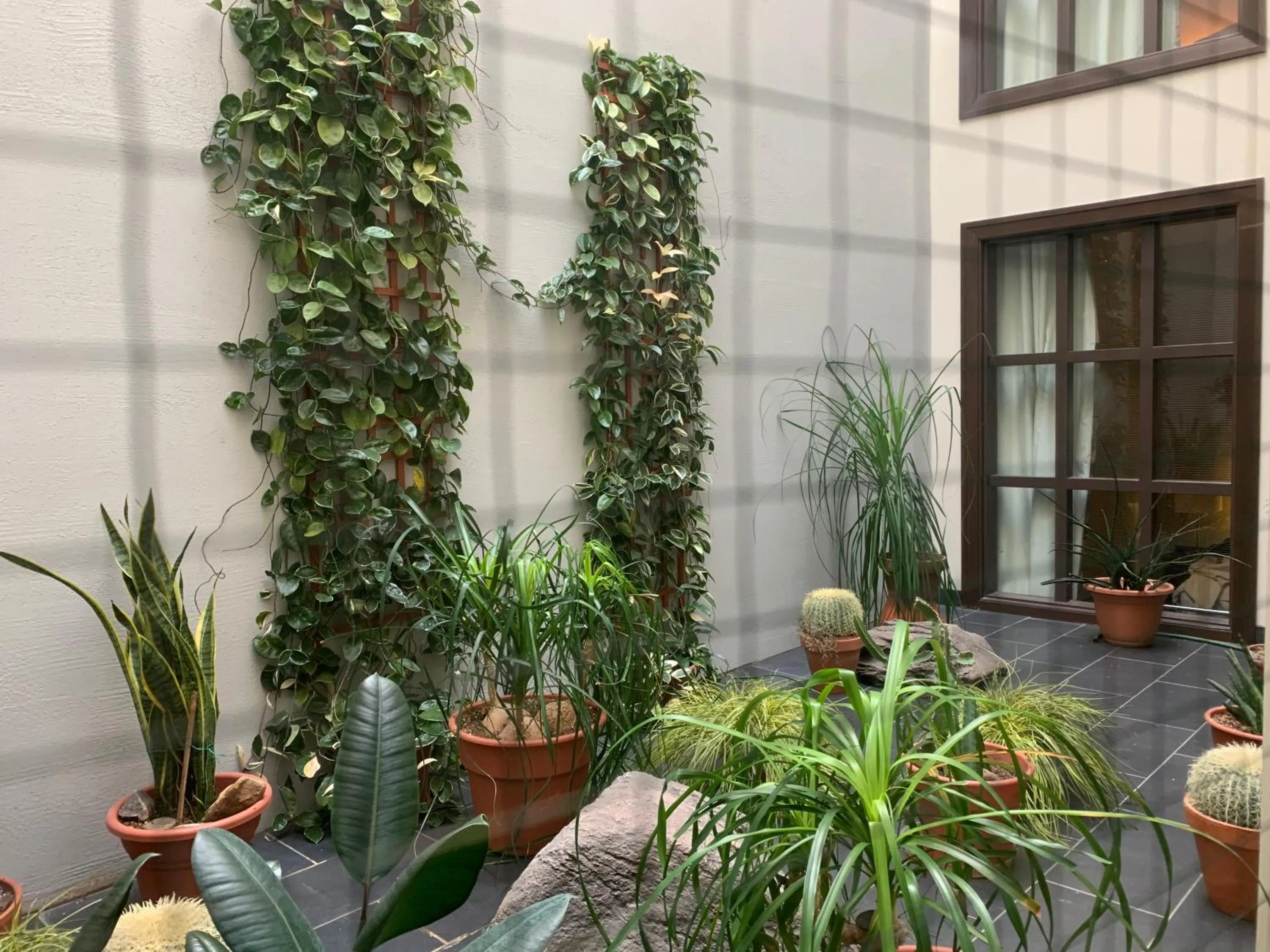 Garden in Hôtel Sainte-Anne