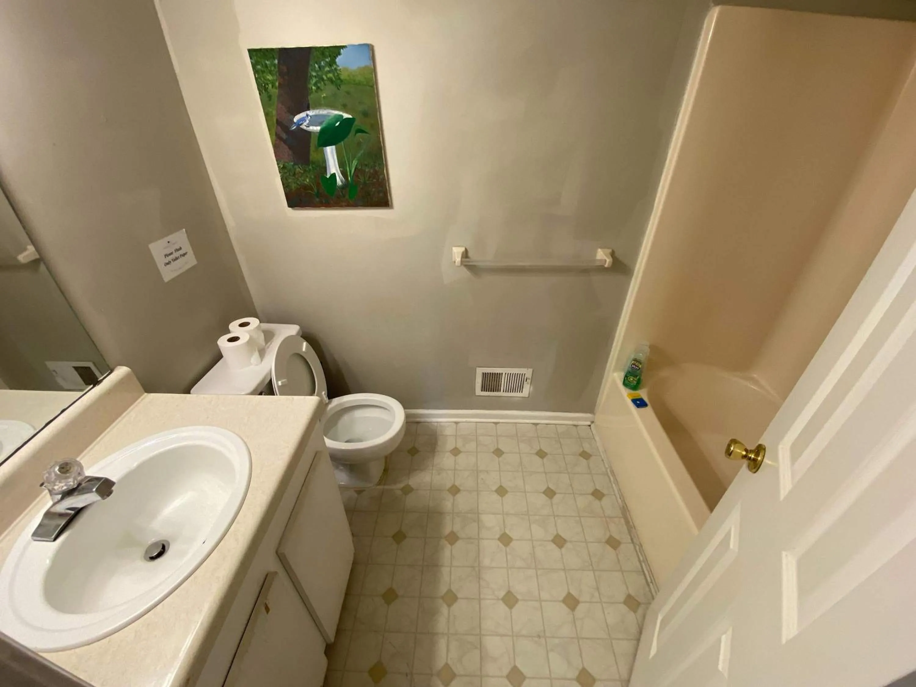 The Garnet Goliath Columbias Biggest BnB Yard