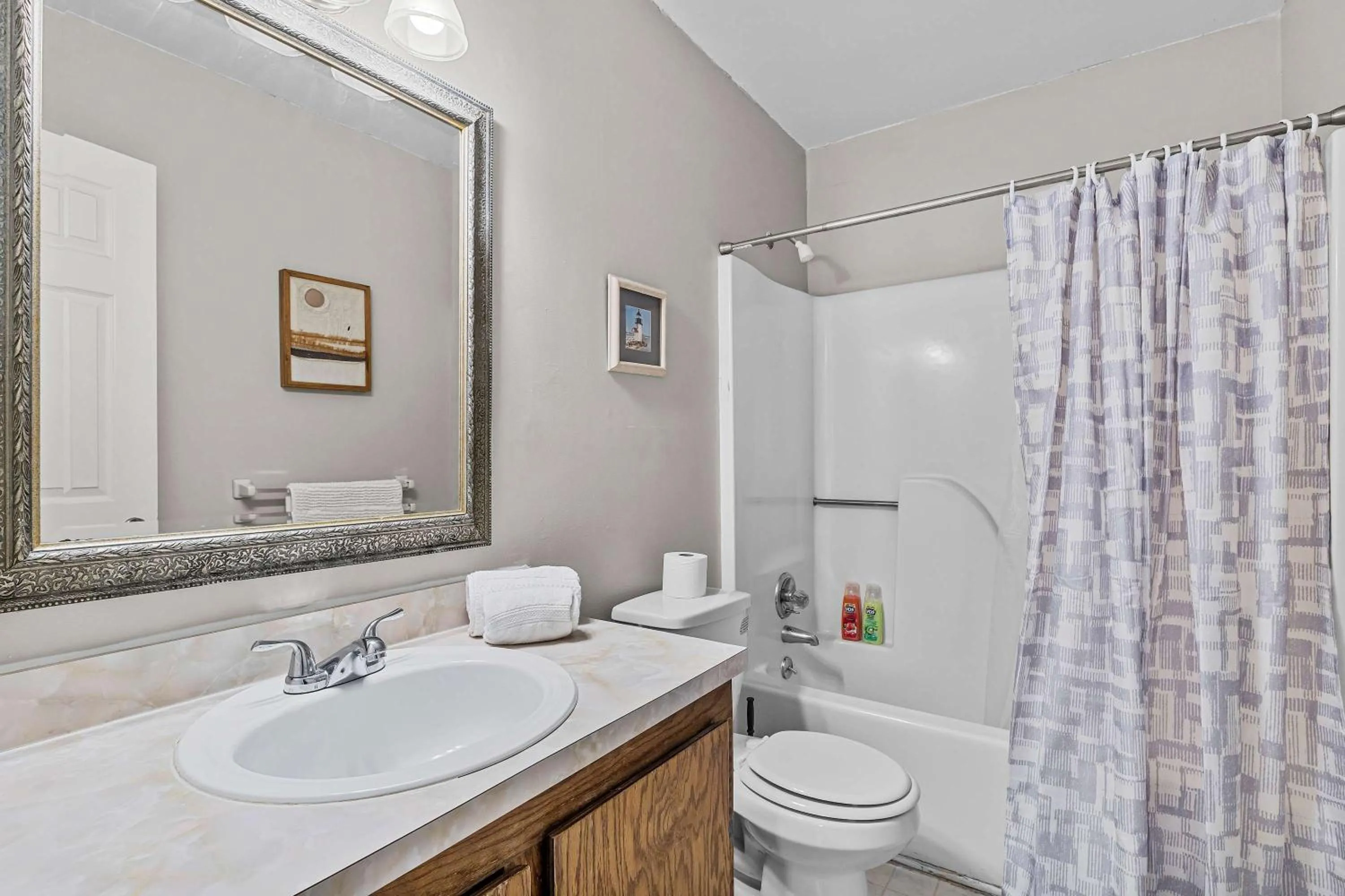 The Garnet Goliath Columbias Biggest BnB Yard