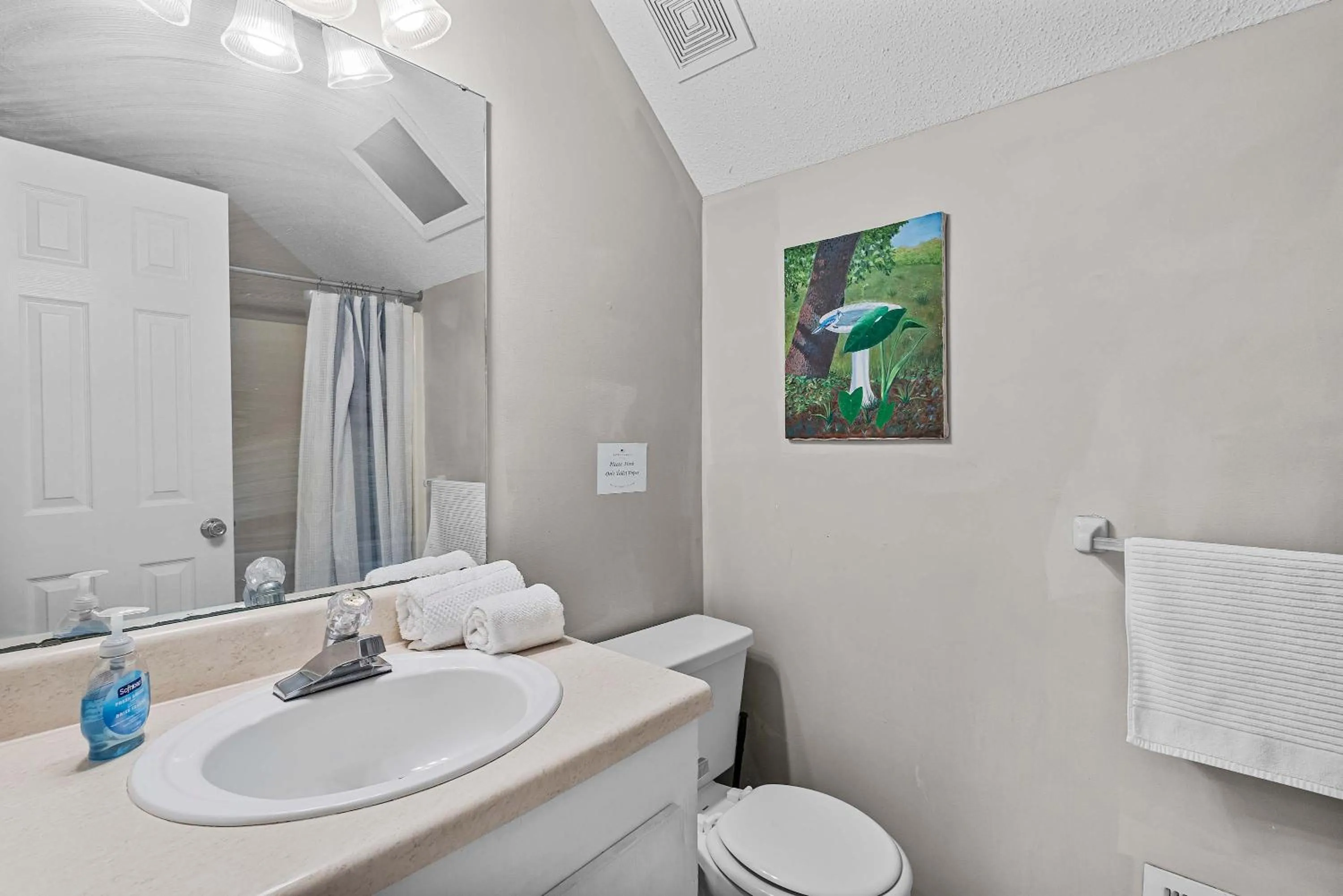 The Garnet Goliath Columbias Biggest BnB Yard