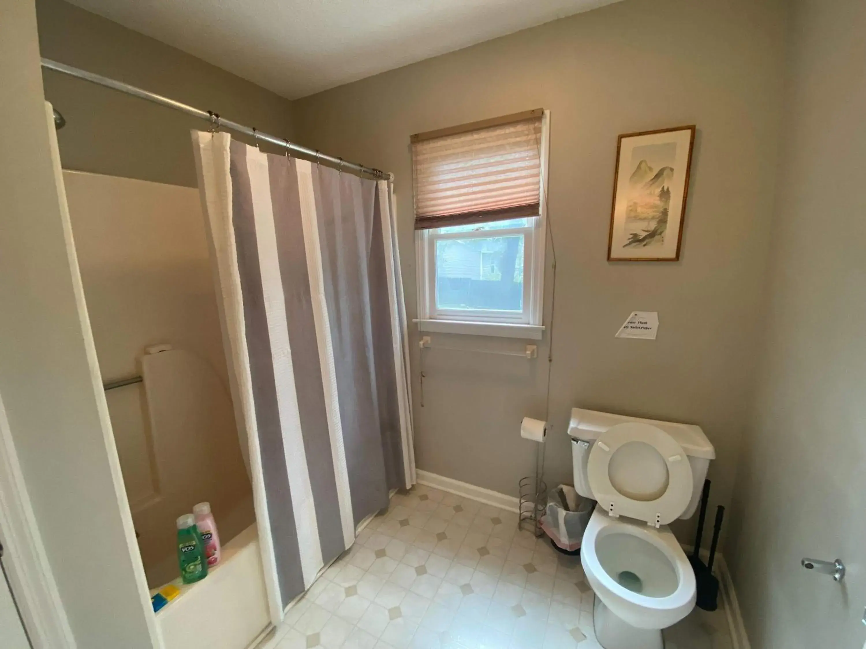 The Garnet Goliath Columbias Biggest BnB Yard The Garnet Goliath Columbias Biggest BnB Yard