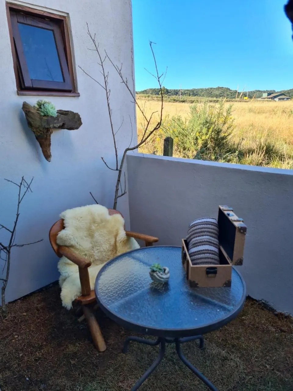 Garden view in Refúgio dos Coiotes