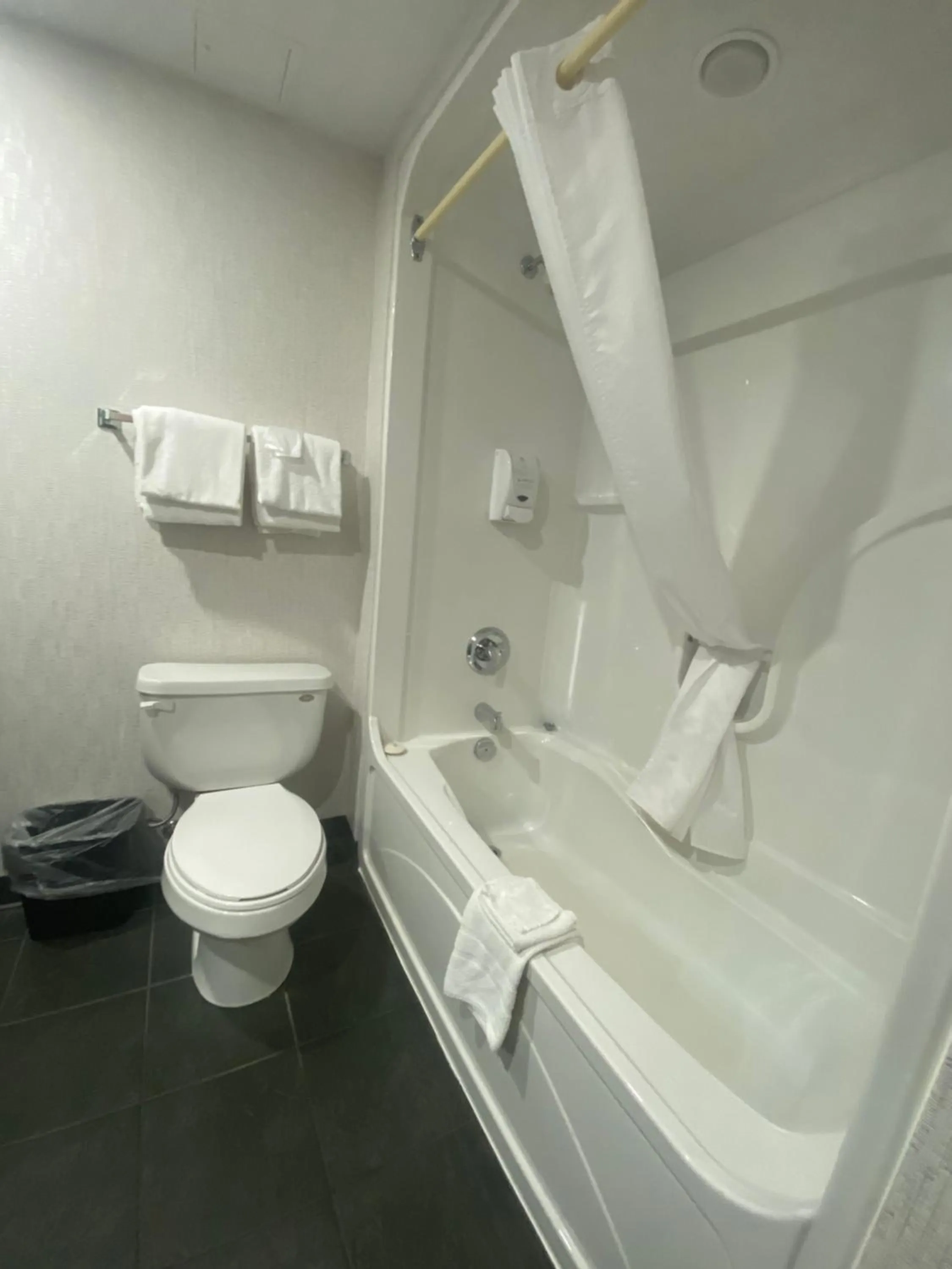 Toilet in Americana Waterpark Resort & Spa