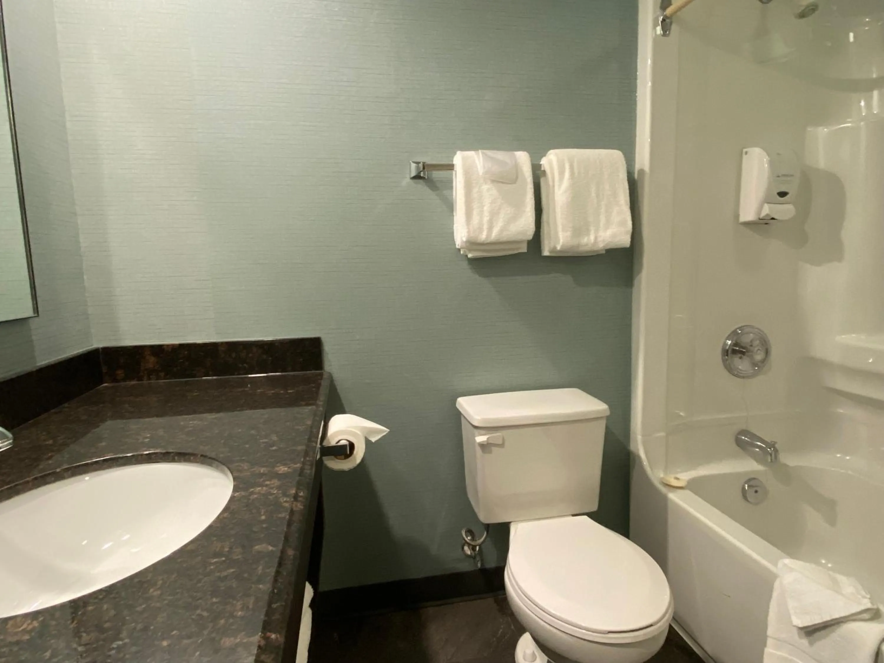 Toilet in Americana Waterpark Resort & Spa
