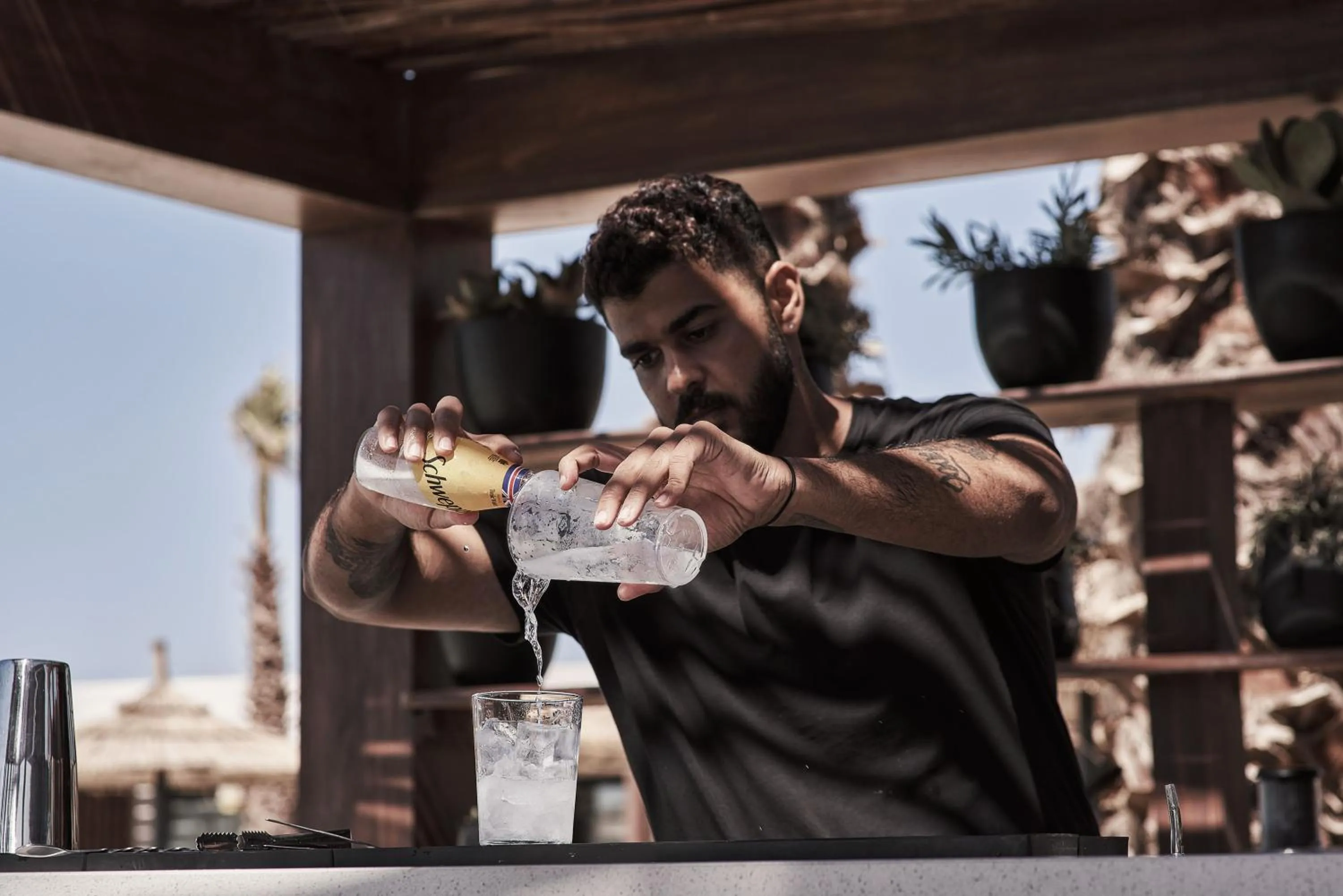 Lounge or bar in Casa Cook North Coast - Adults Only