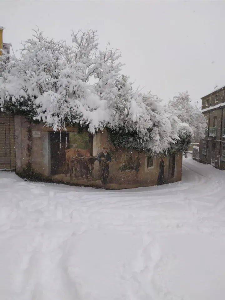 B&B Santu Giuvanni "Un tuffo nel passato Fonnese"