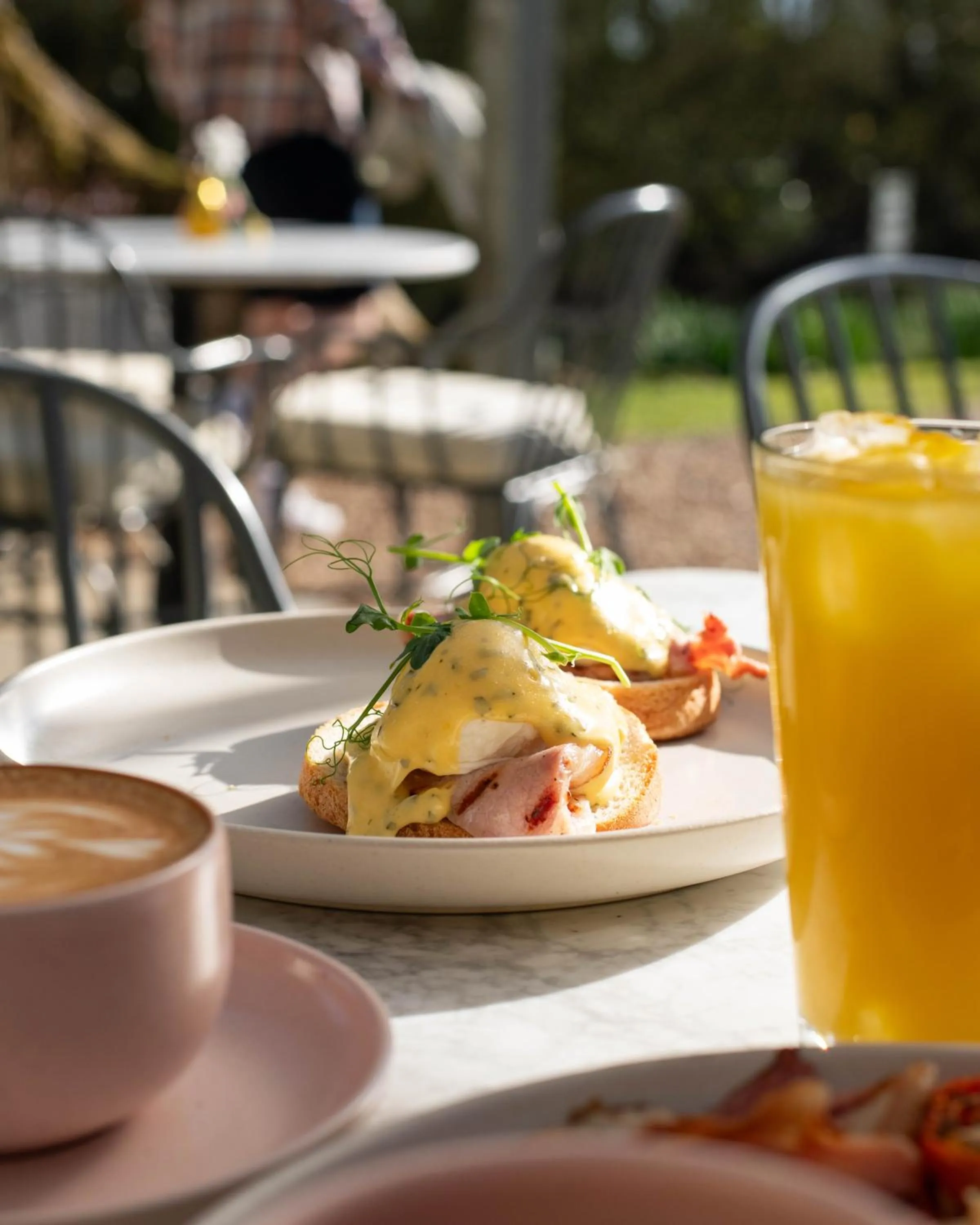 Garden in Sculthorpe Mill