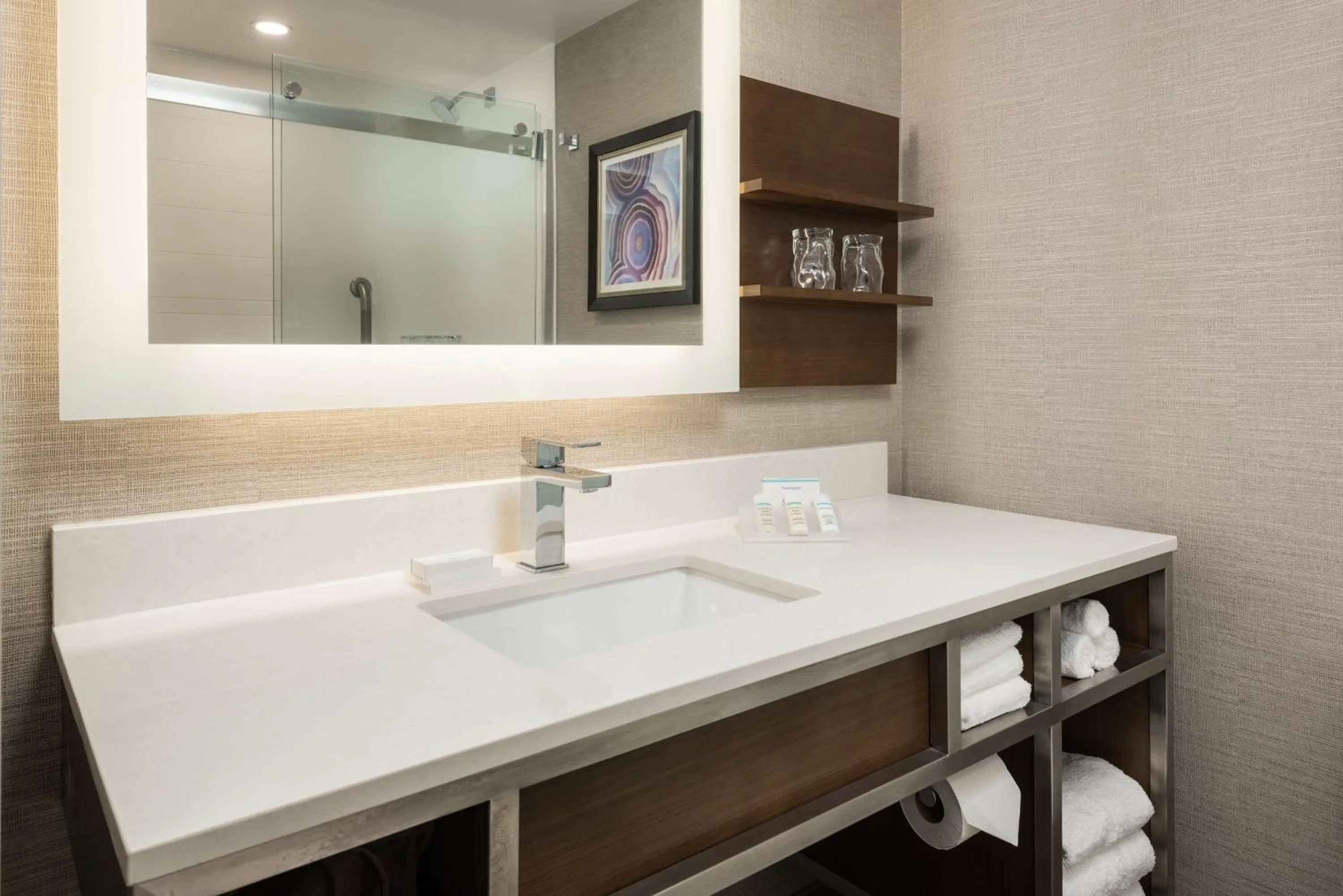 Bathroom in Hilton Garden Inn Ottawa Downtown