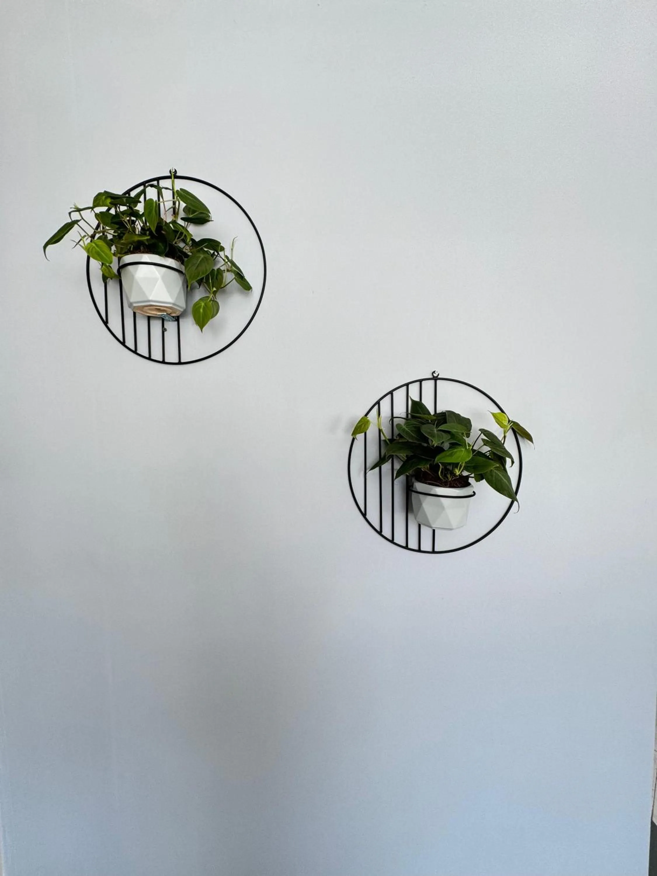 Decorative detail in Poblado Park Guest House