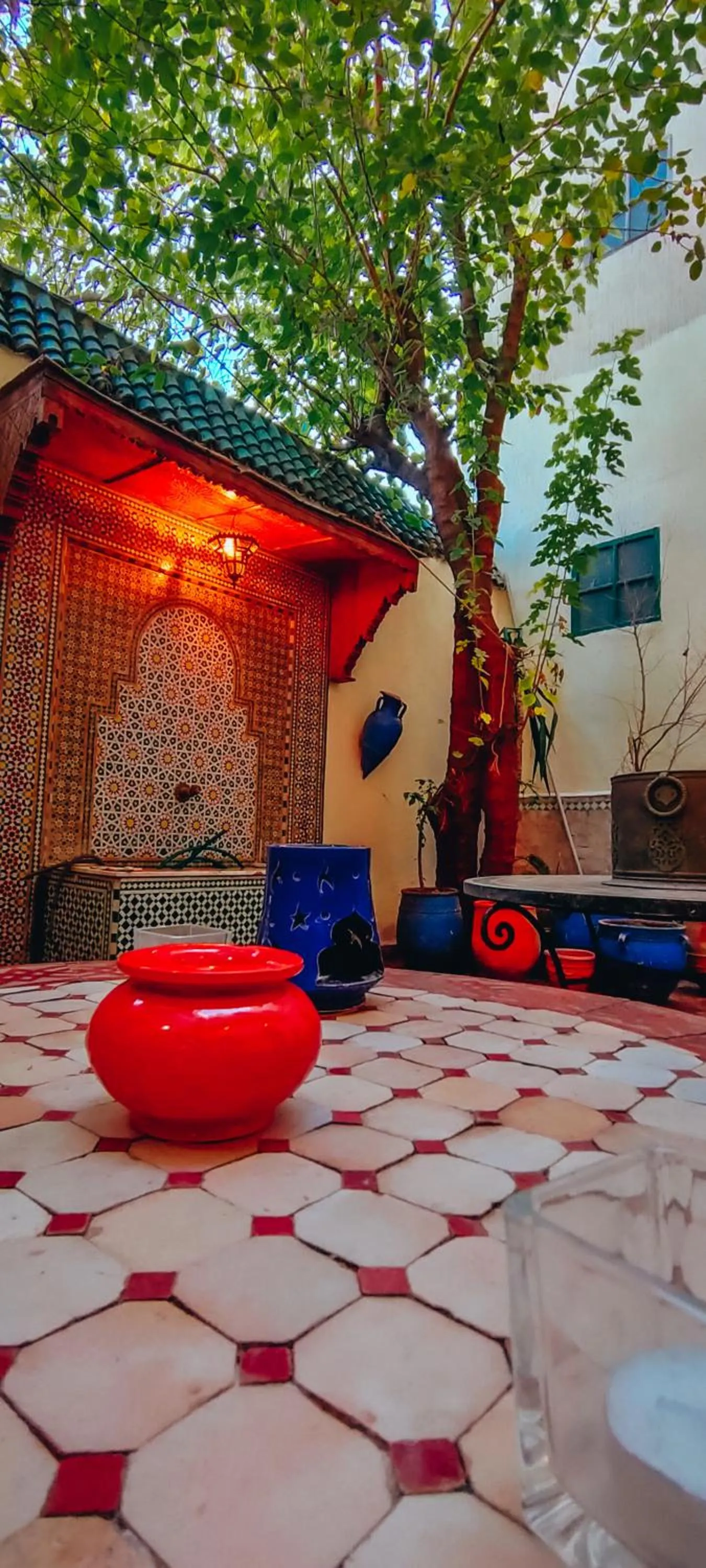 Garden in Riad Pacha Palace