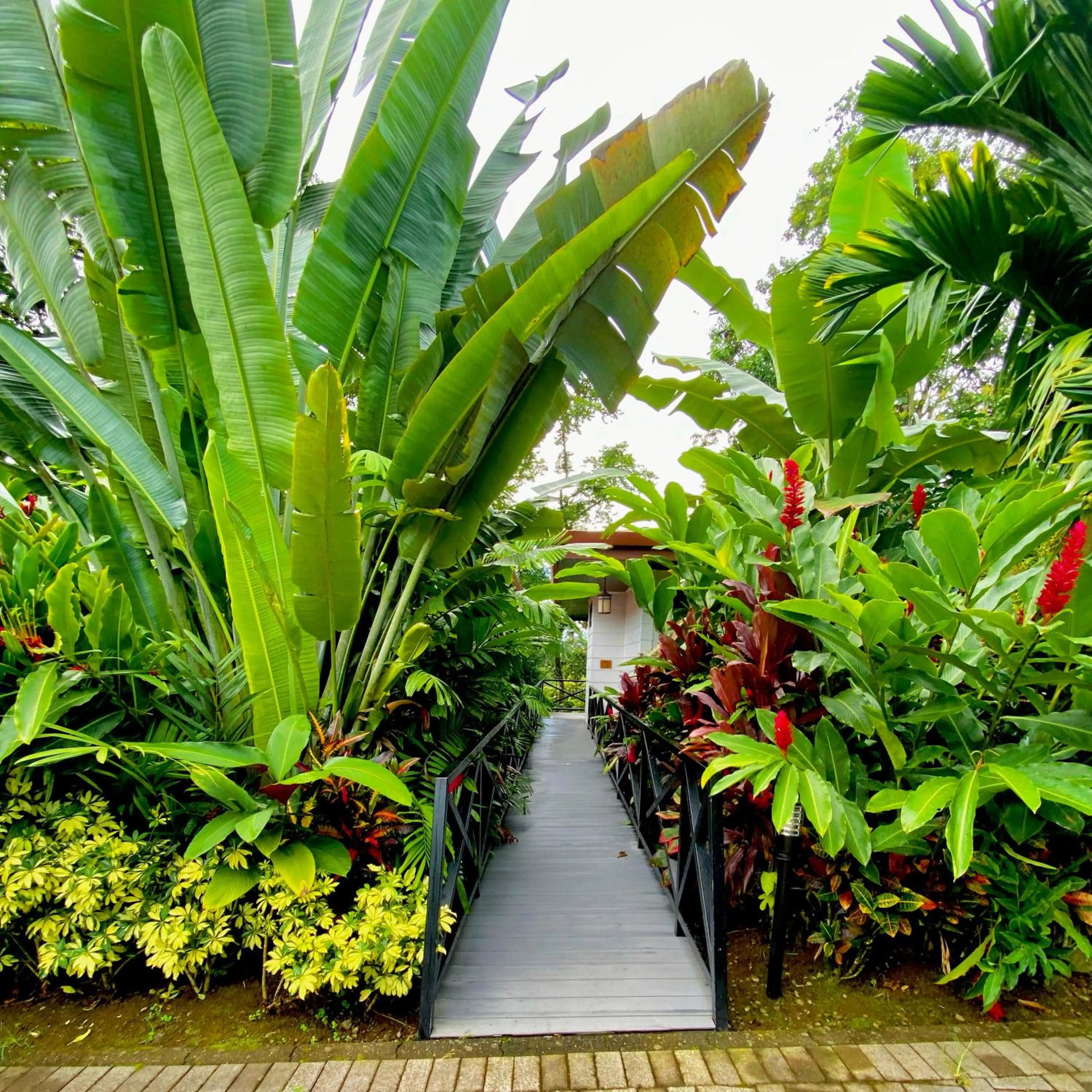 Hotel Boutique Casa Del Rio