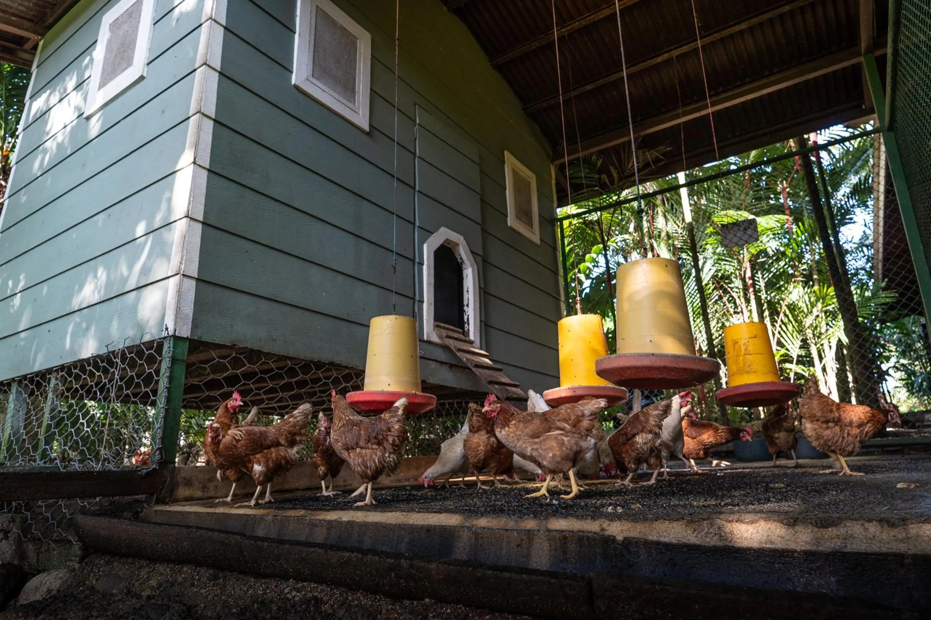 Hotel Boutique Casa Del Rio