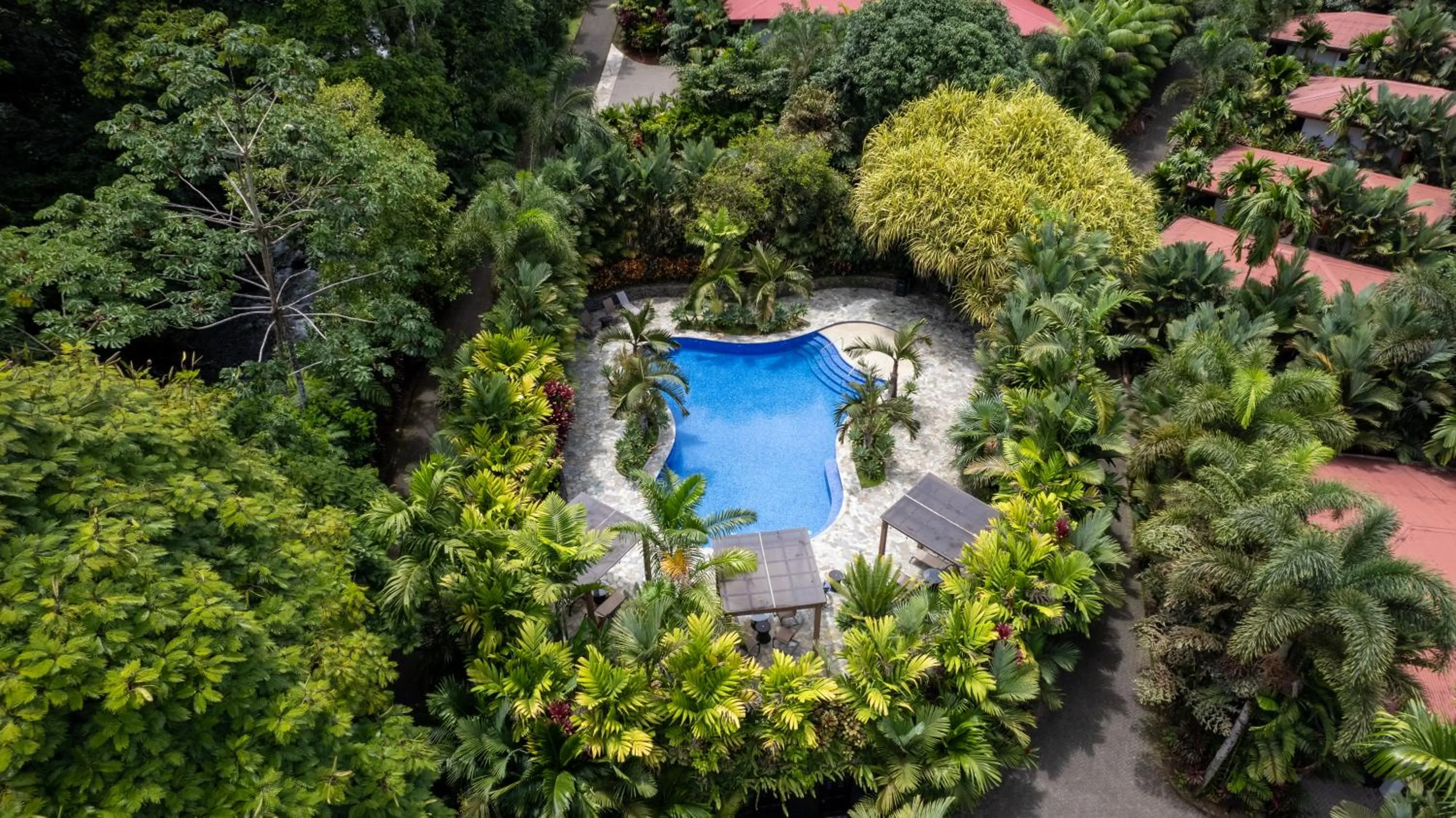 Swimming pool in Hotel Boutique Casa Del Rio