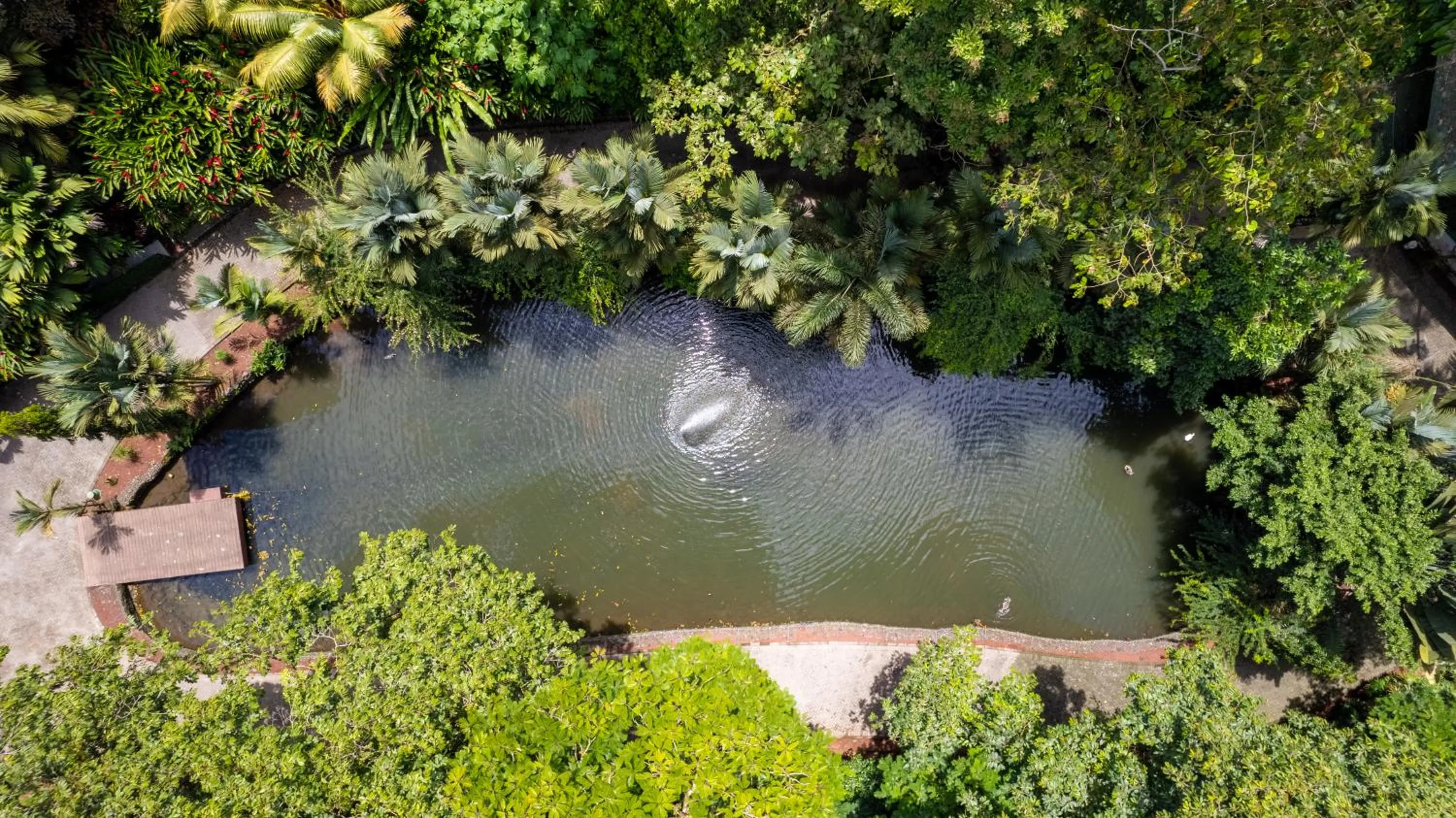 Hotel Boutique Casa Del Rio