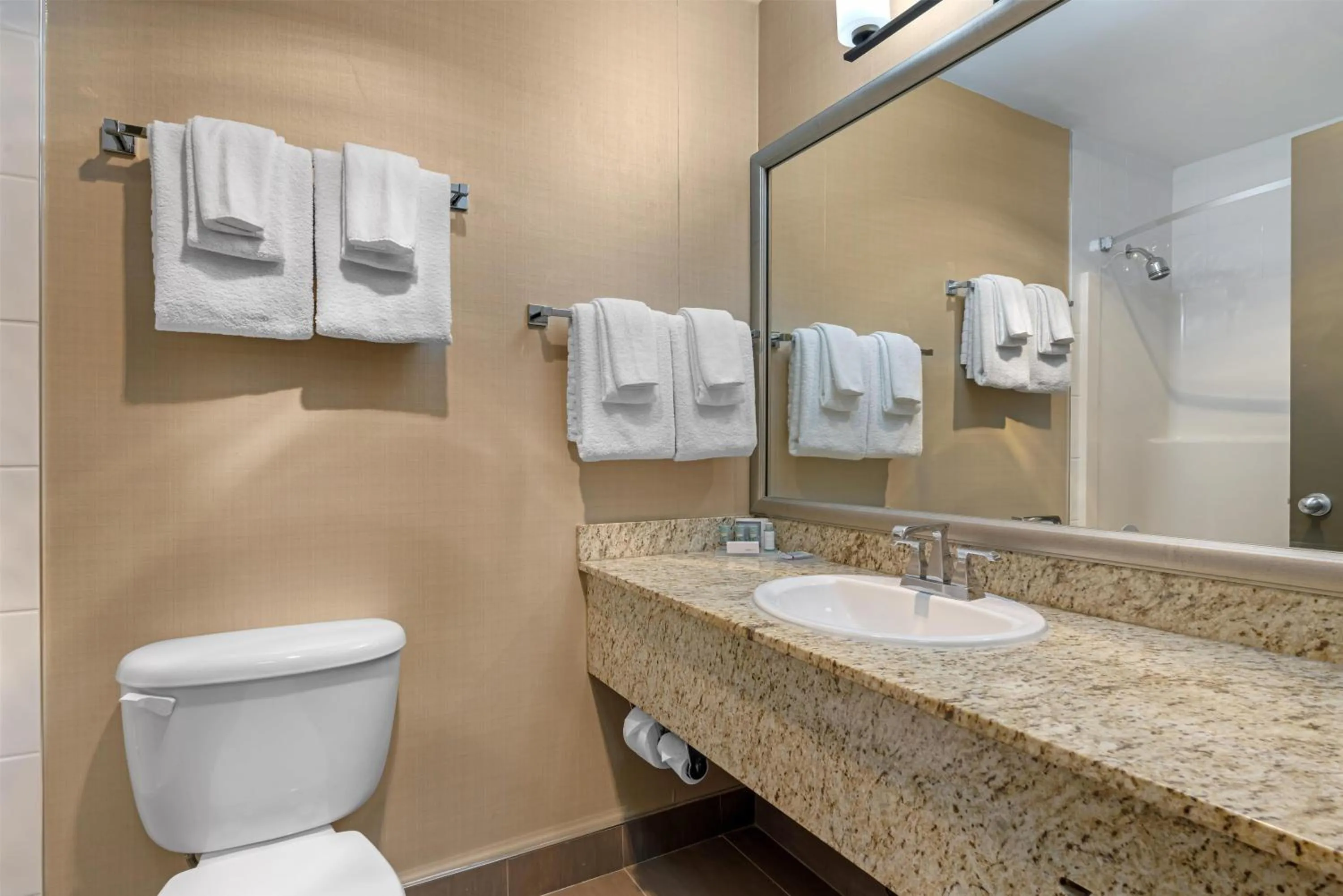 Bathroom in Best Western King George Inn & Suites