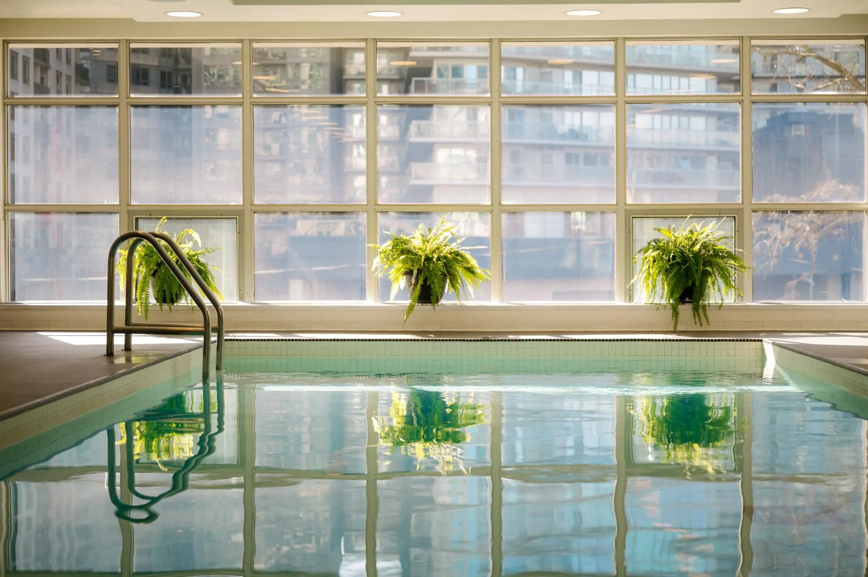 Swimming pool in SoHo Hotel Toronto