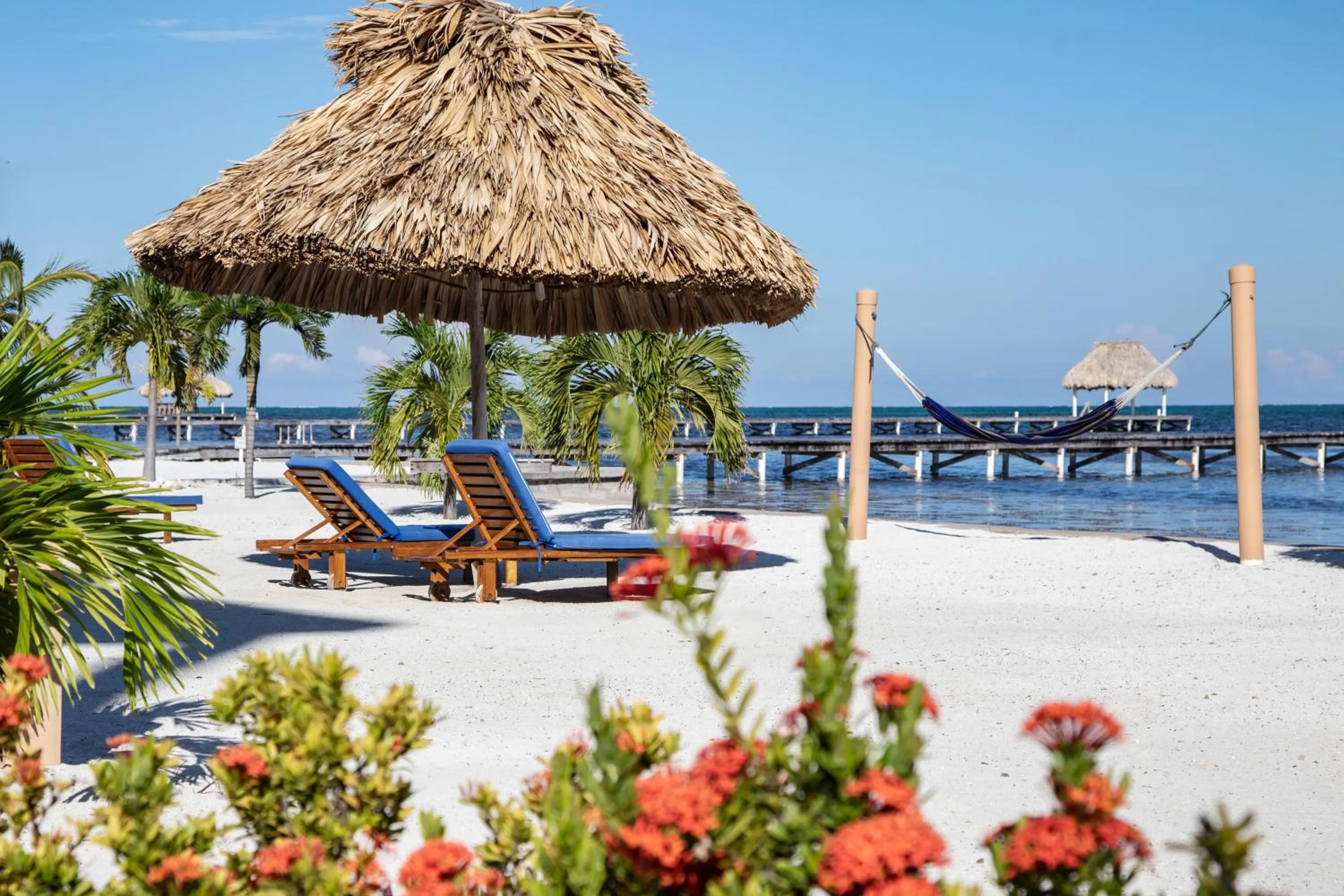 Beach in Hol Chan Reef Resort & Villas