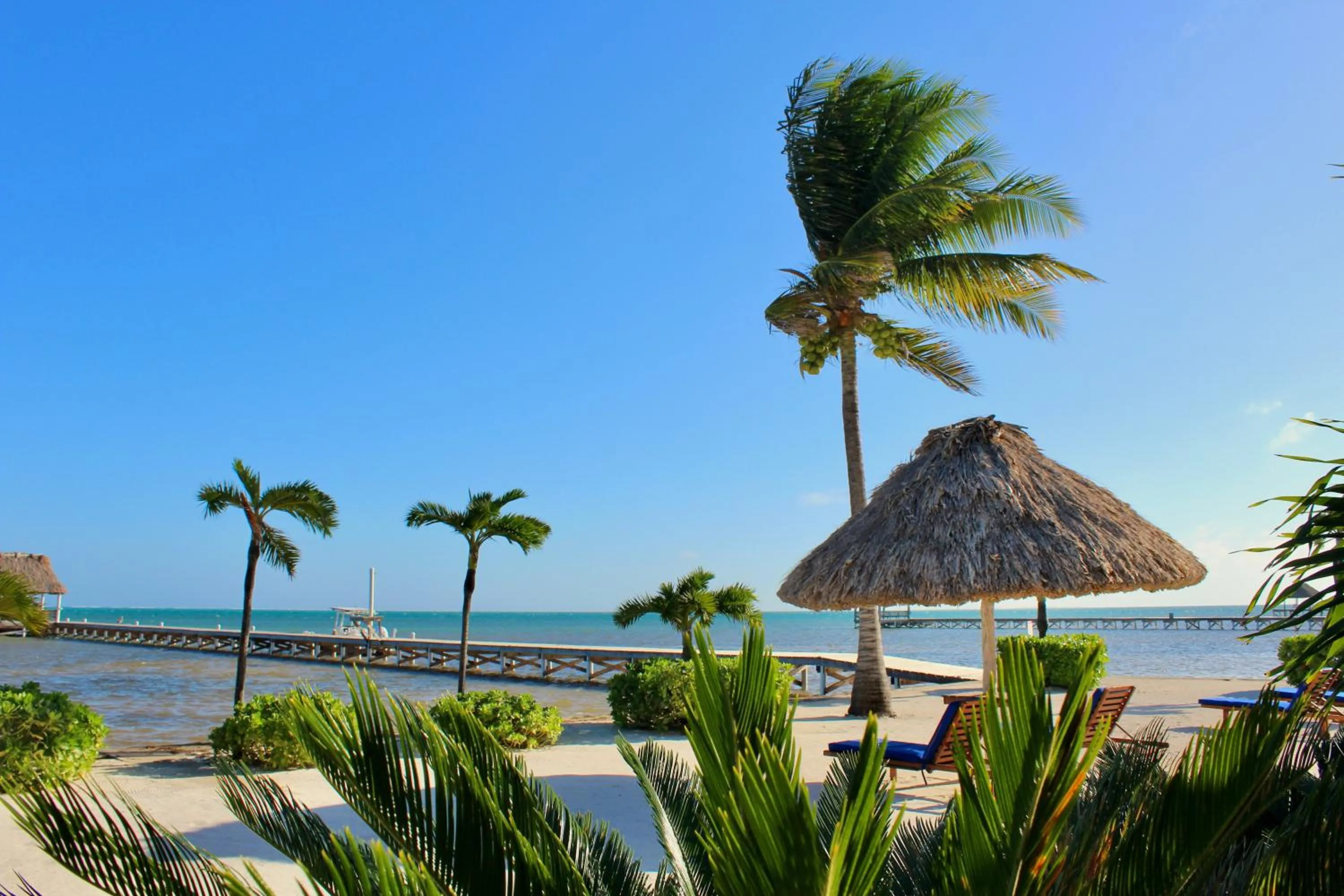 Beach in Hol Chan Reef Resort & Villas