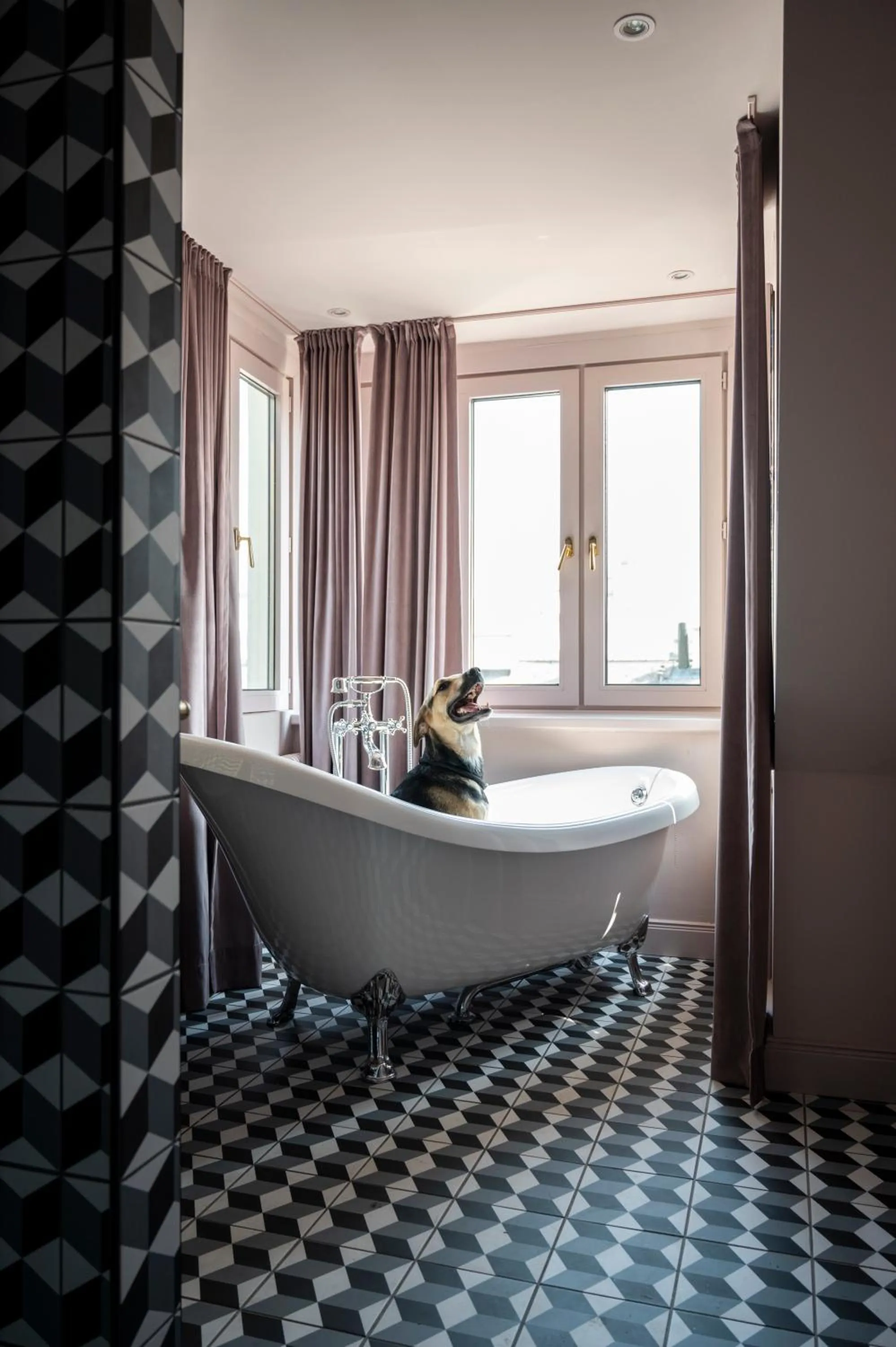 Pets in Hotel Josefine