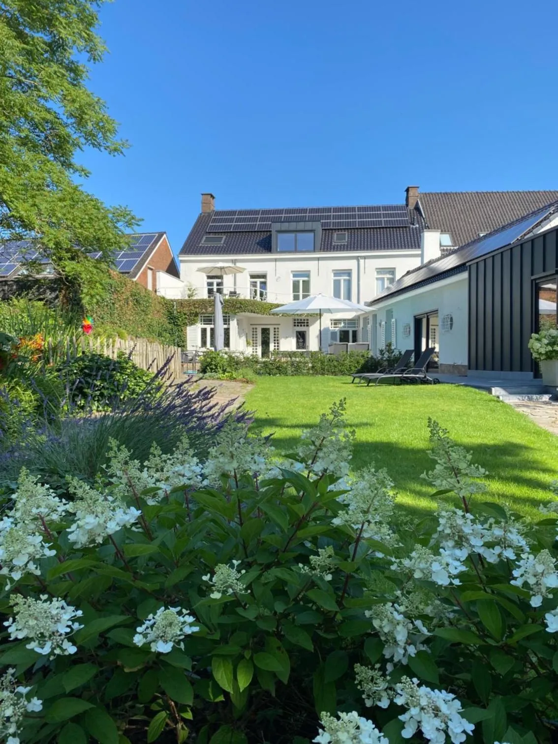 Garden in B&B Tannerie