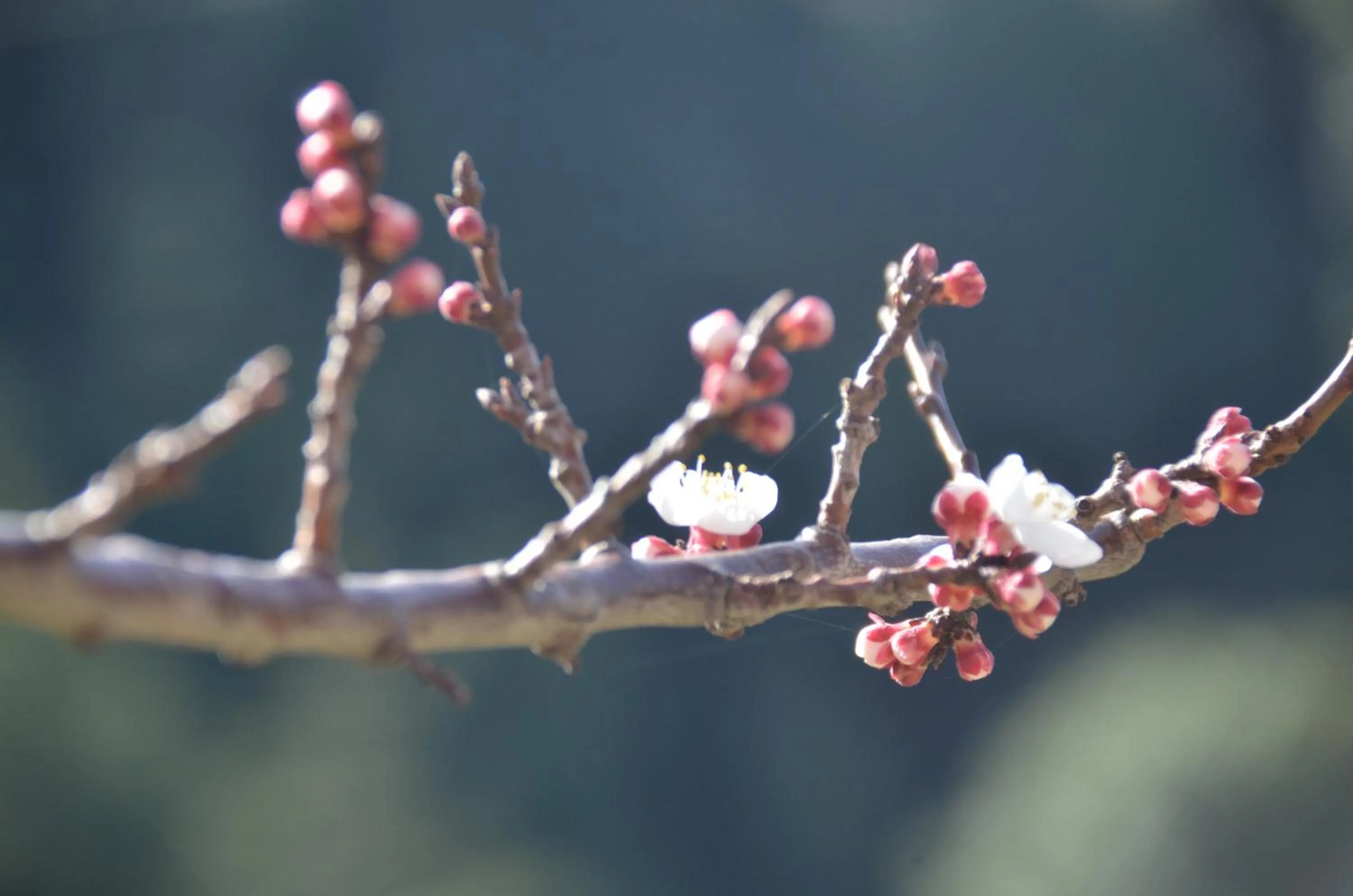 Property building in Hari Om Paradise