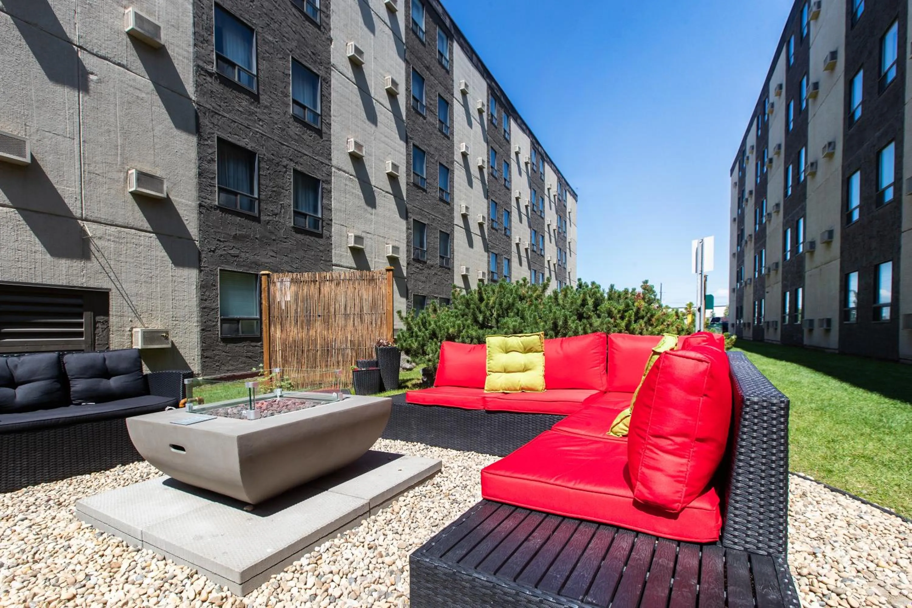 Pets in Travelodge by Wyndham Edmonton West