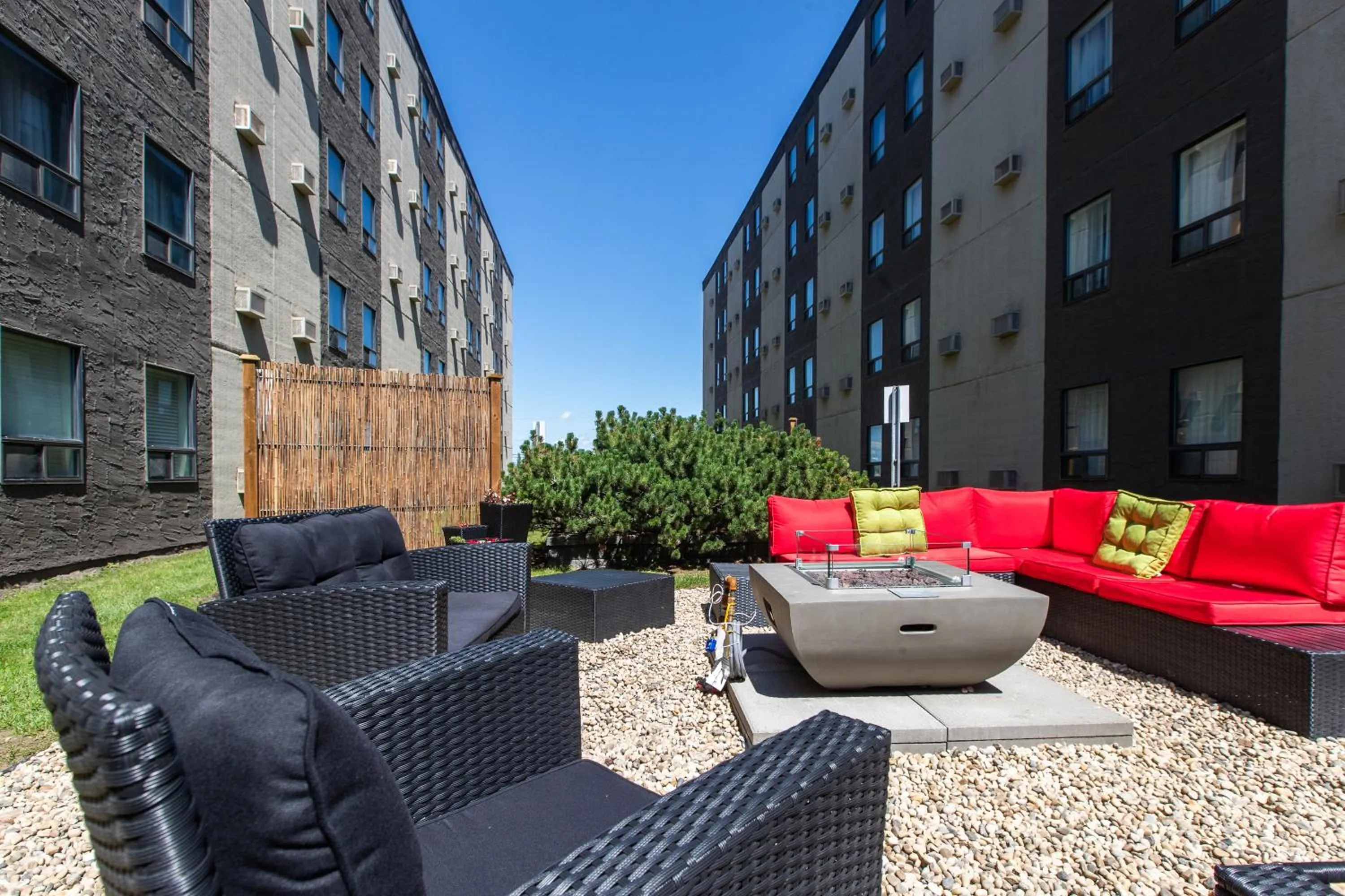 Pets in Travelodge by Wyndham Edmonton West