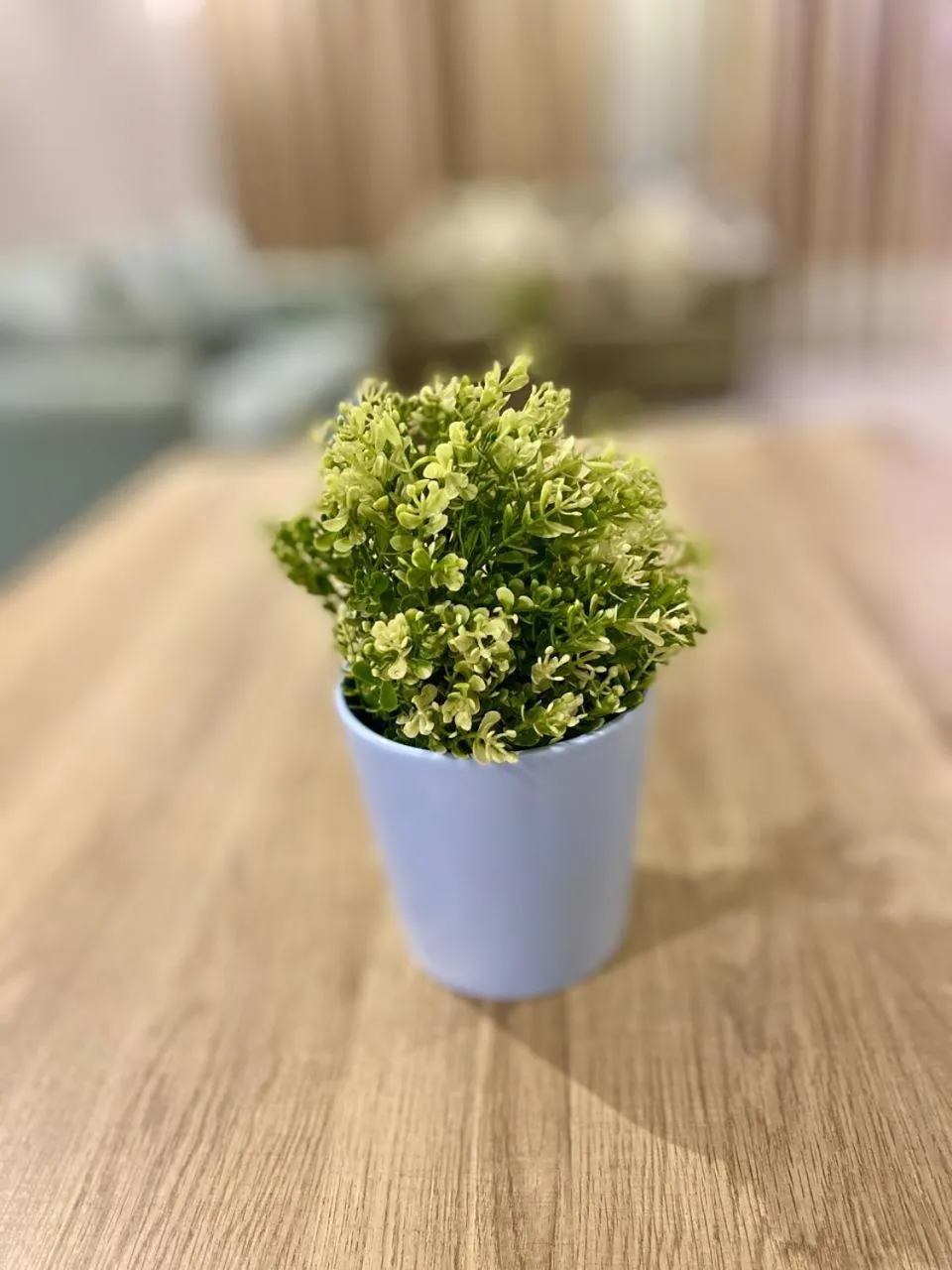 Tu Jardin Al Marwa- توجاردن المروه