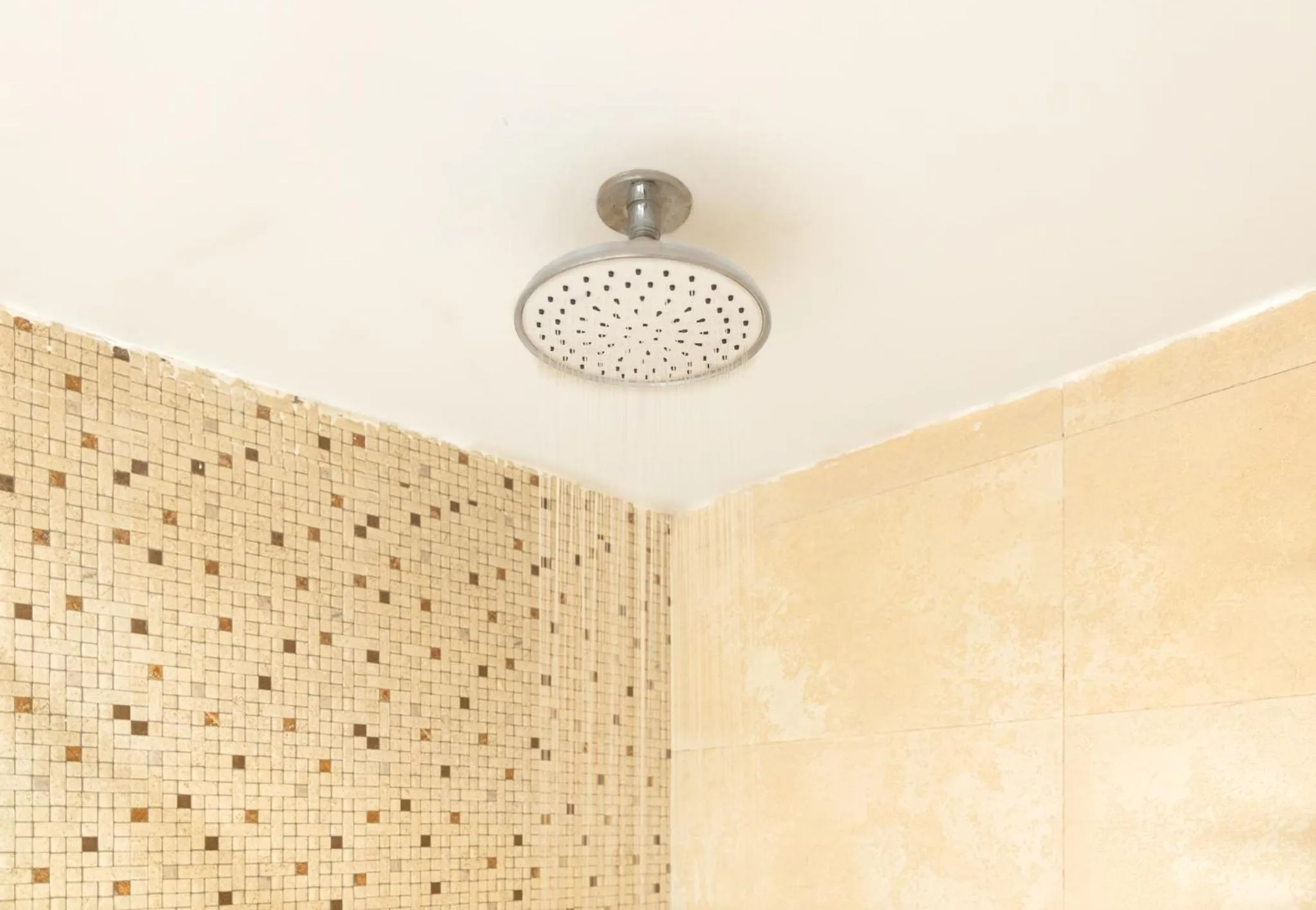 Shower in Vastu Boutique Hotel