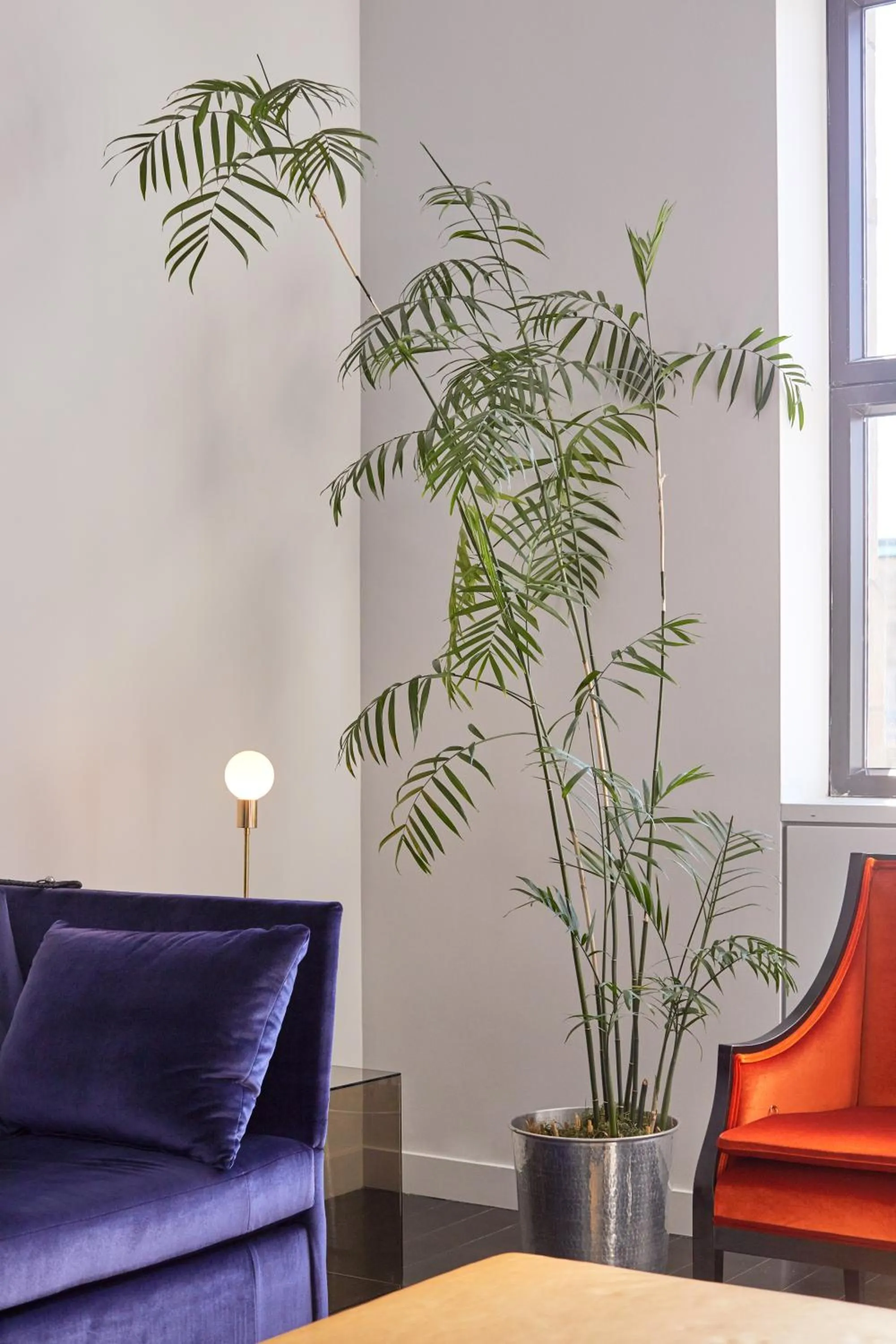 Living room in Hotel St Paul, Montreal, a Member of Design Hotels