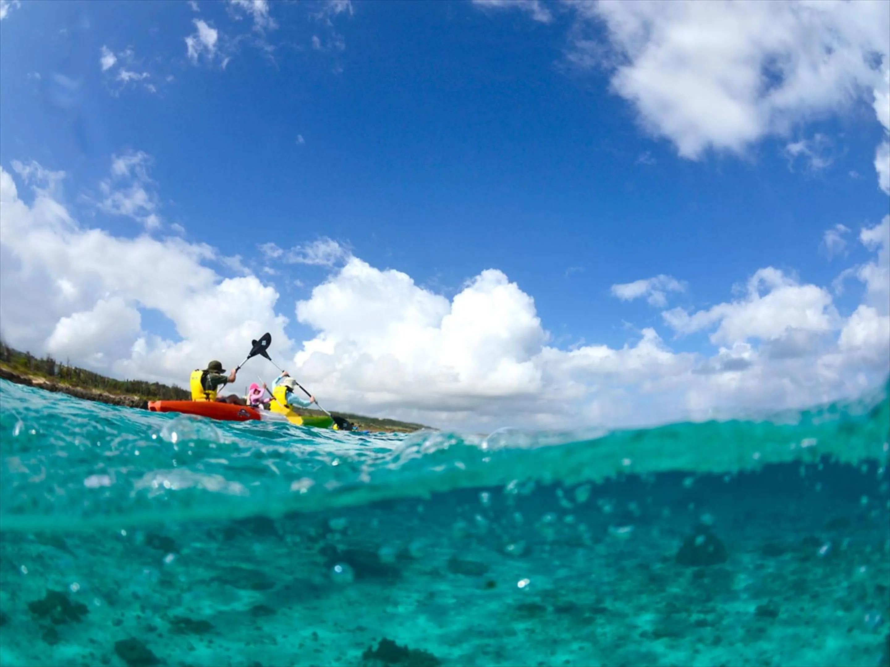 Activities in HOTEL SEABREEZE CORAL