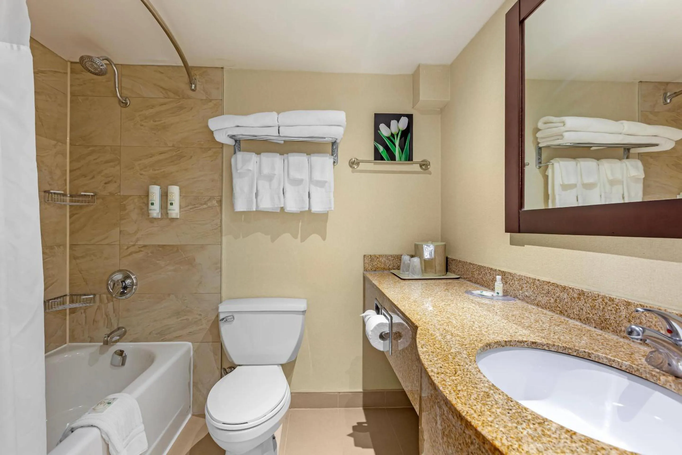 Bedroom in Quality Inn & Suites