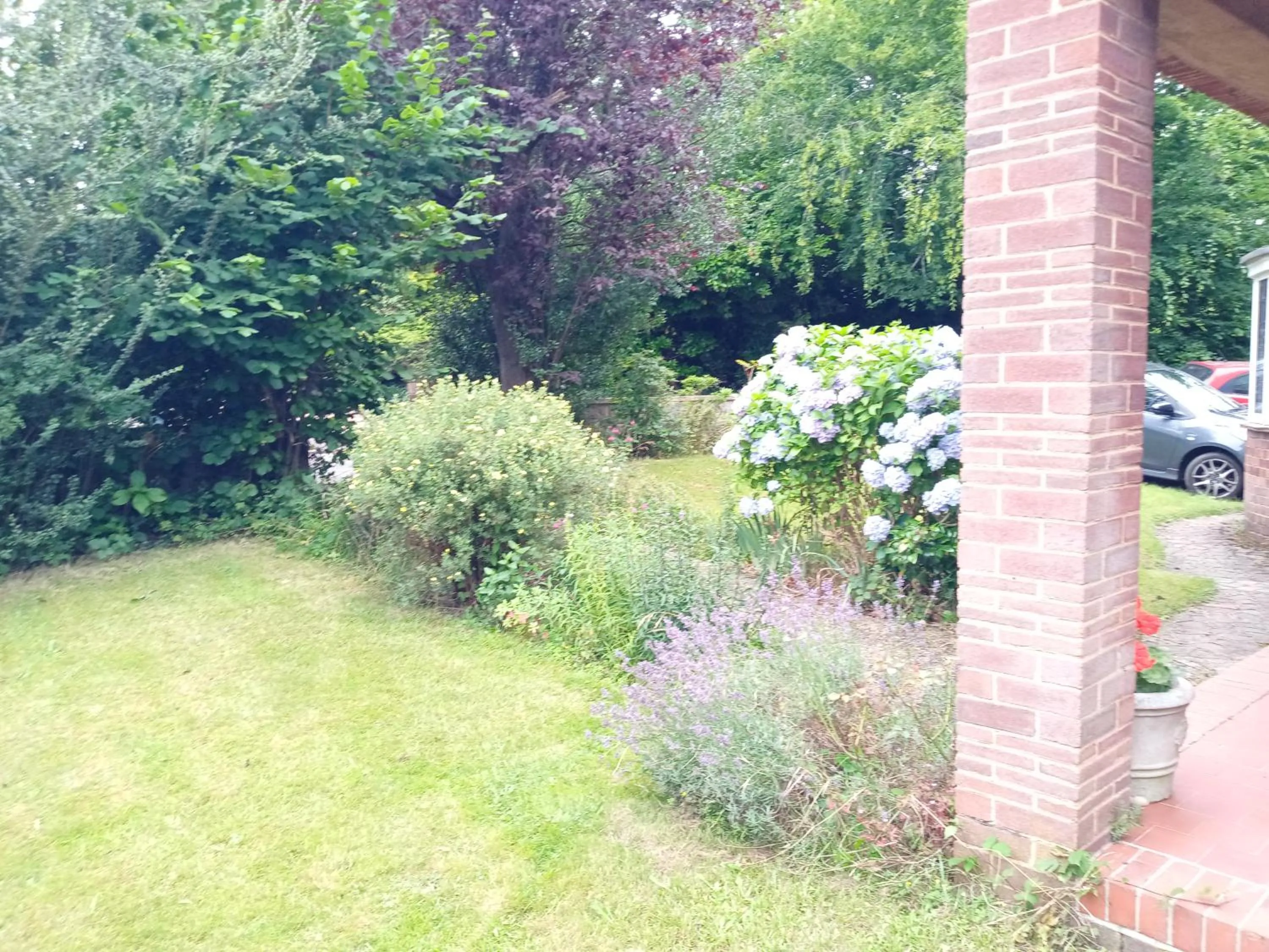 Garden in Oak End Lodge