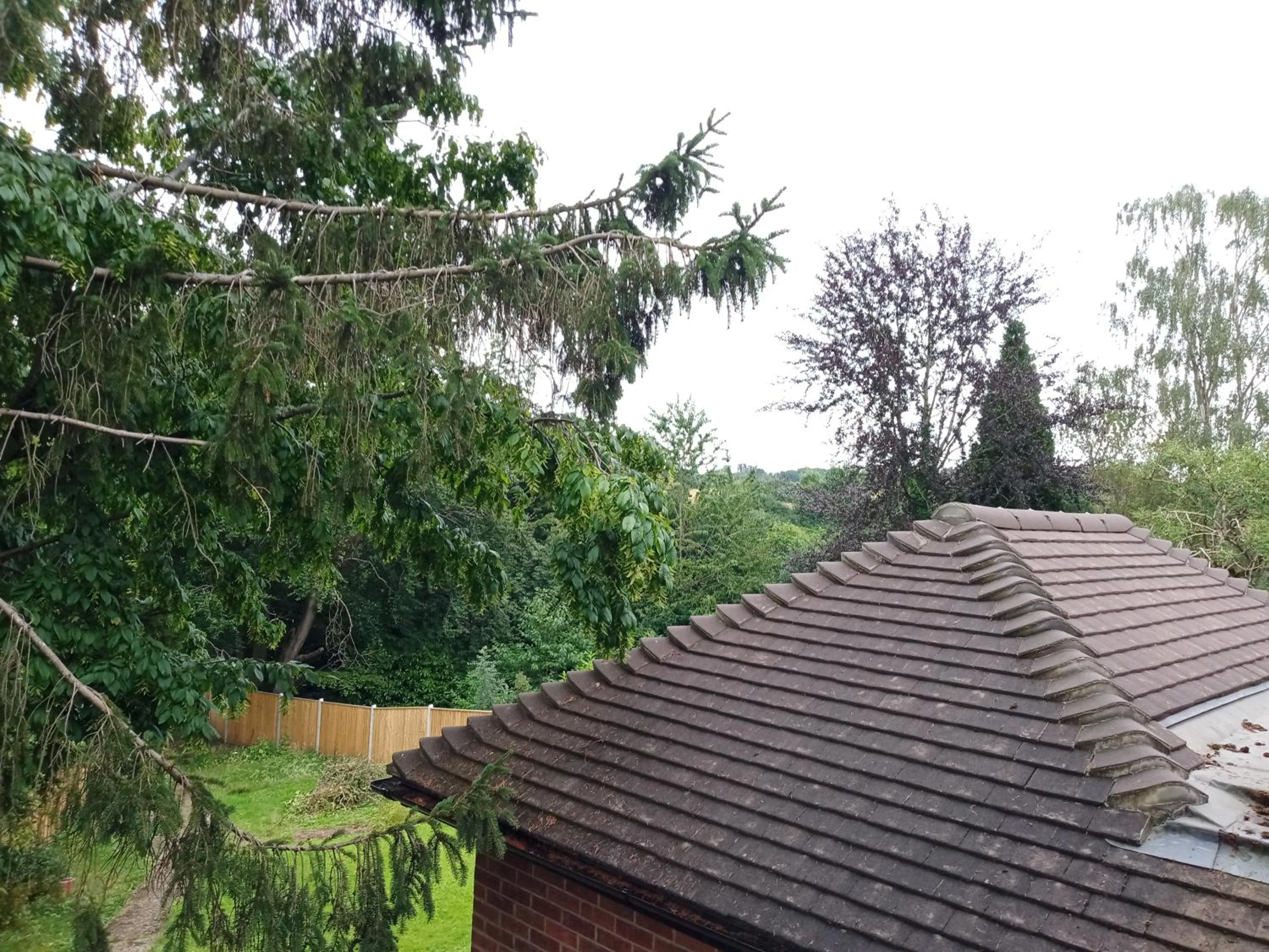View (from property/room) in Oak End Lodge