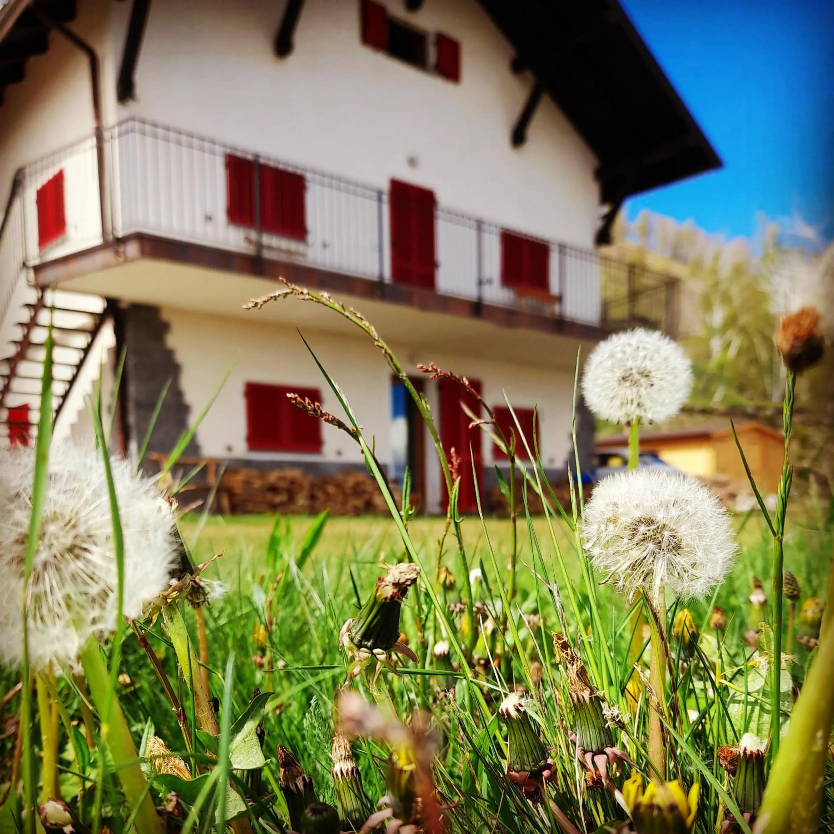 Property building in Baita Mael