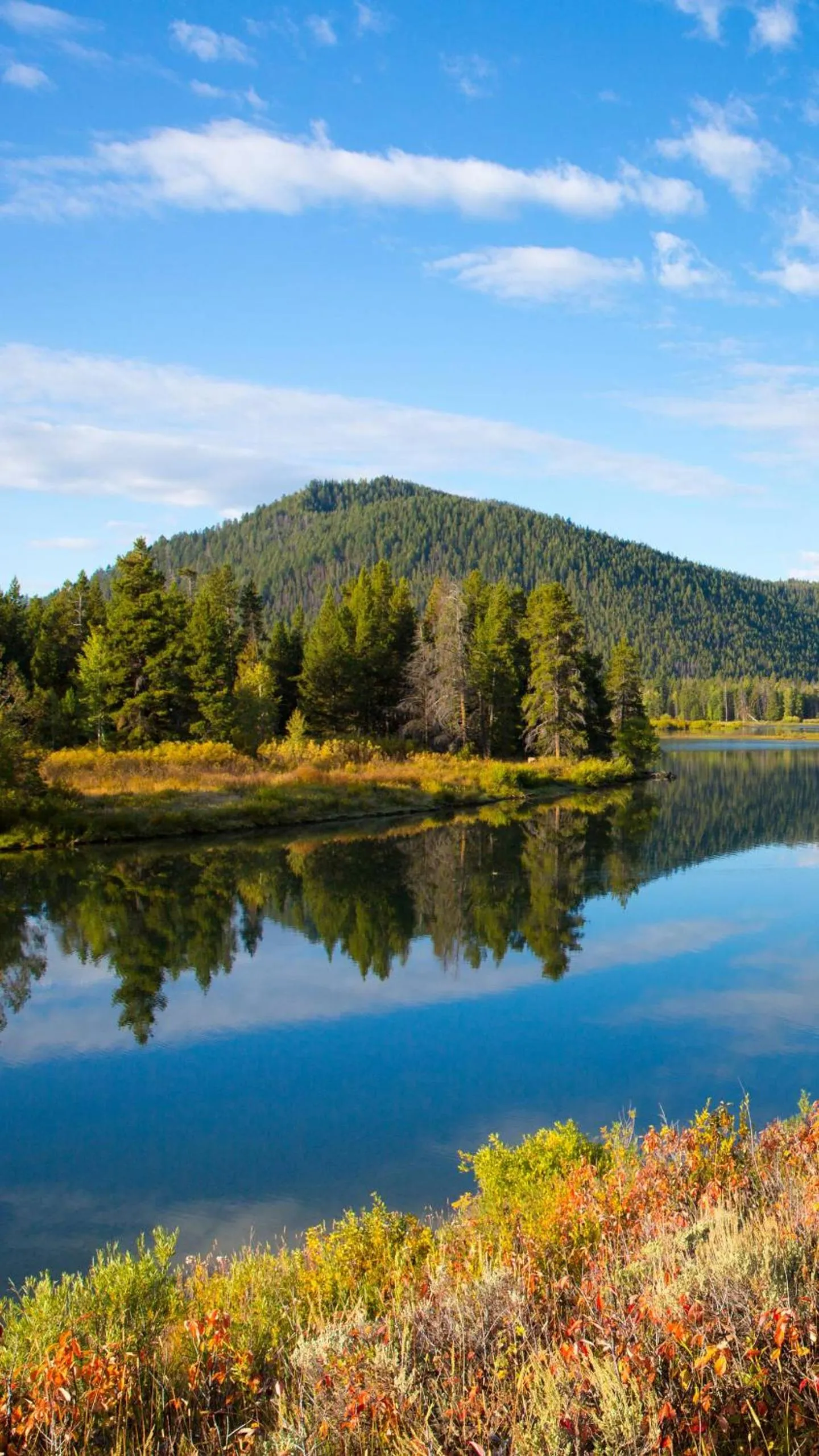 Natural landscape in Motel Des Pays D'En Haut