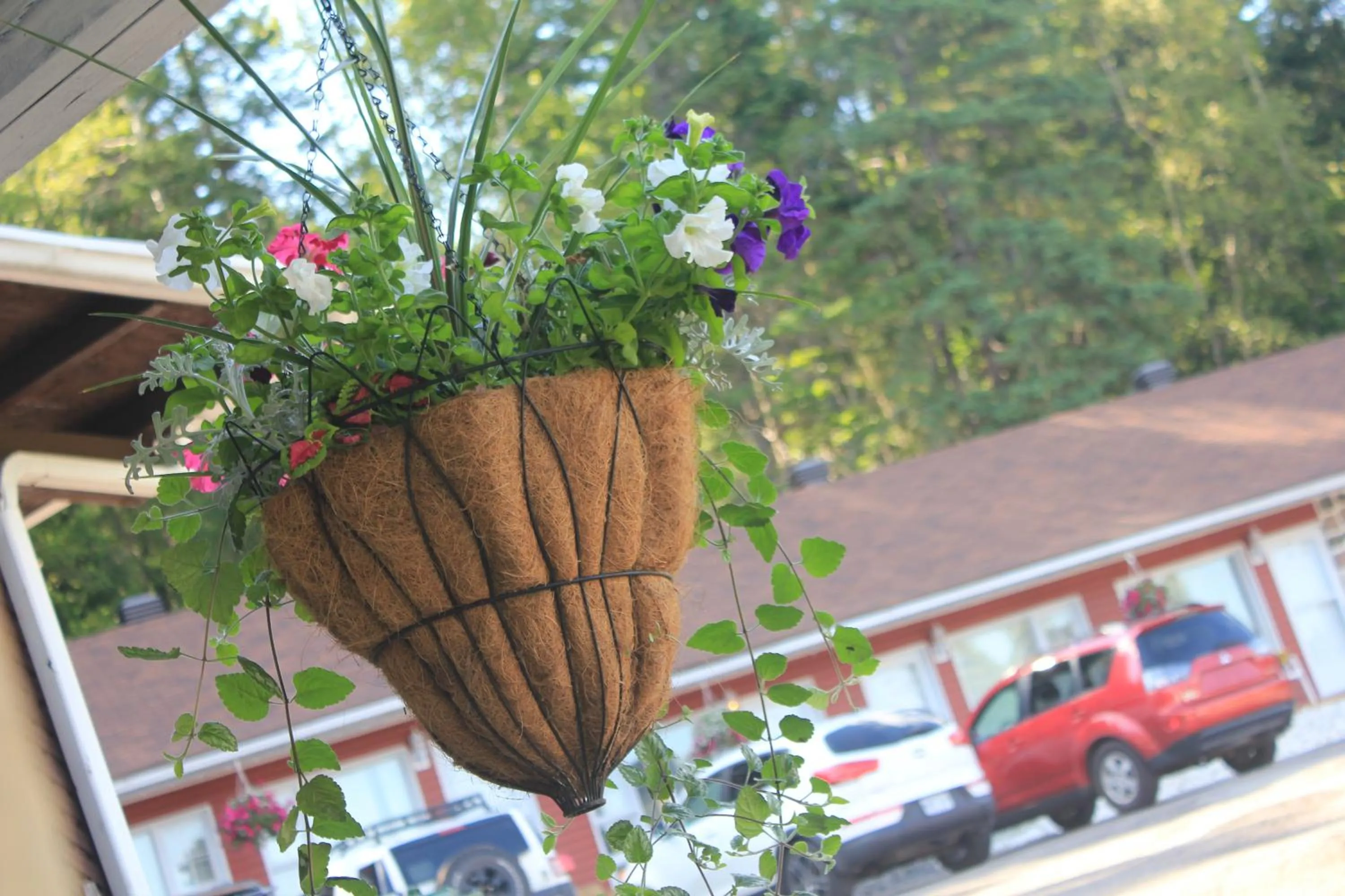 View (from property/room) in Motel Des Pays D'En Haut