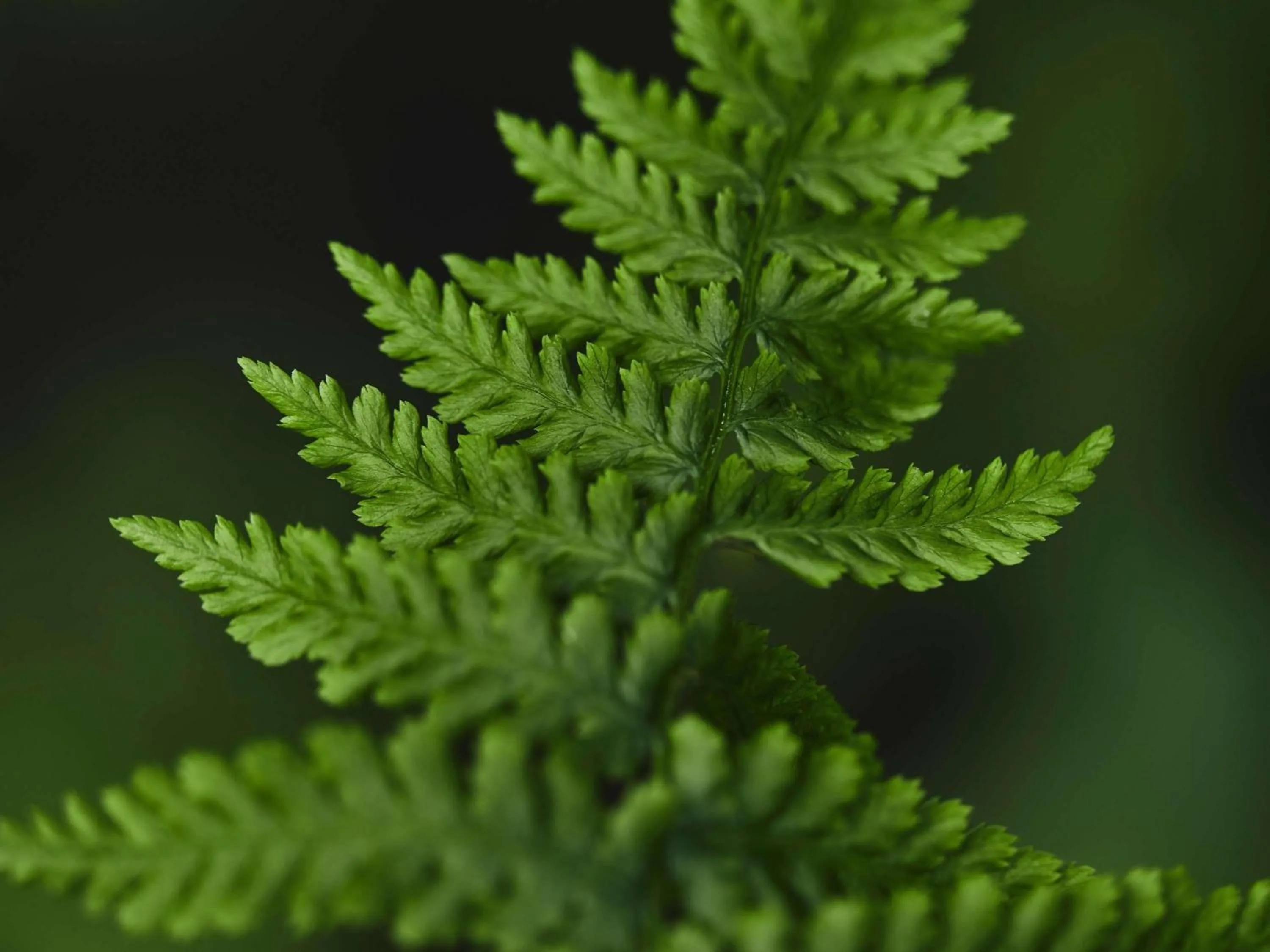 Other in Fairmont Hotel Vancouver