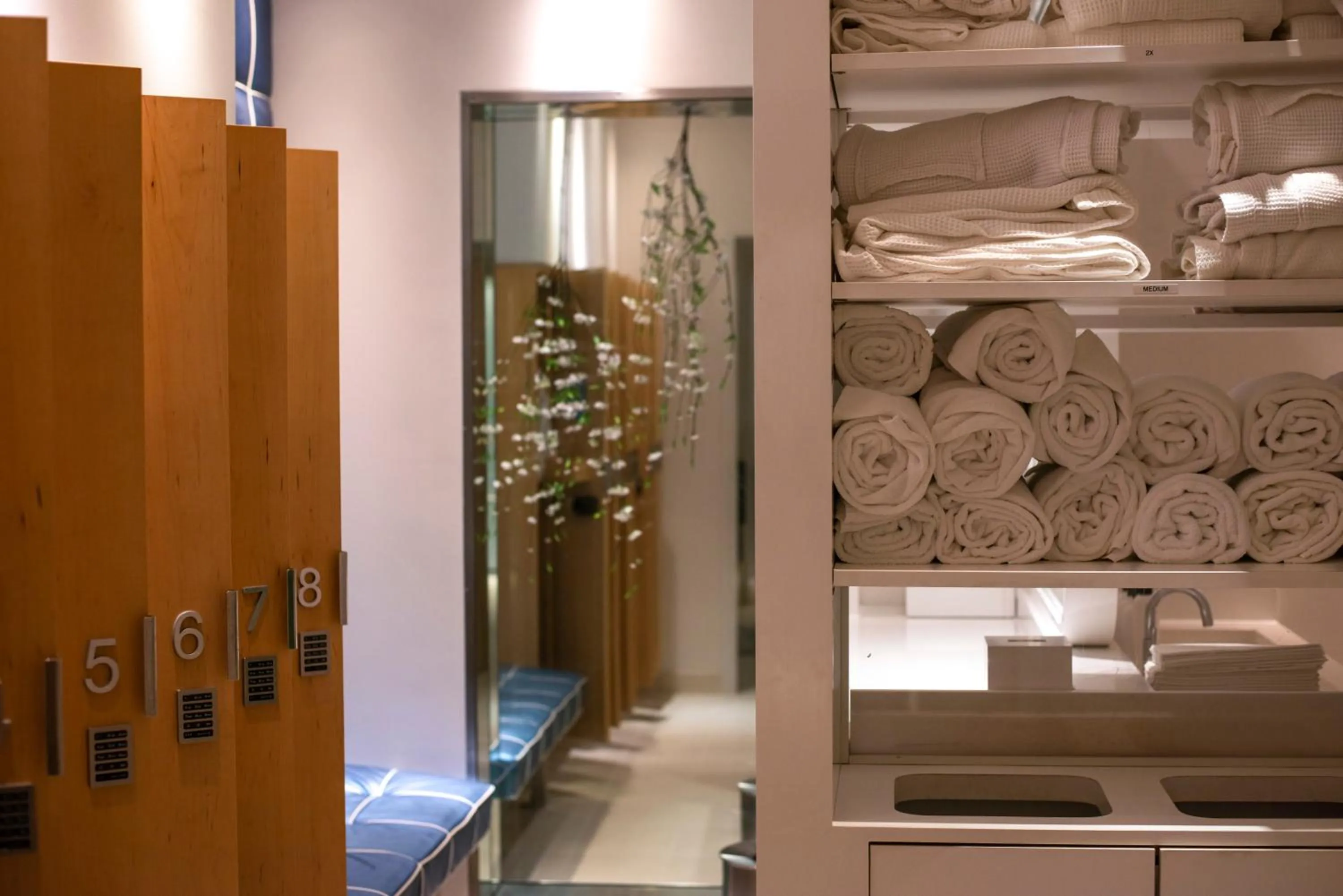 Spa and wellness centre/facilities in Hotel Washington